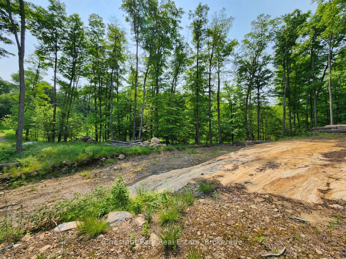 19 Old Hemlock Trail Property Photo 16