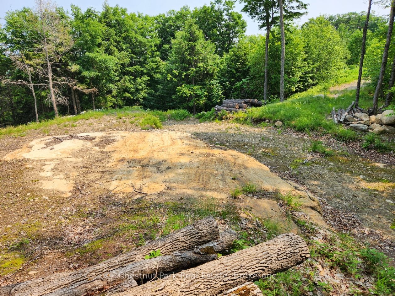 19 Old Hemlock Trail Property Photo 17