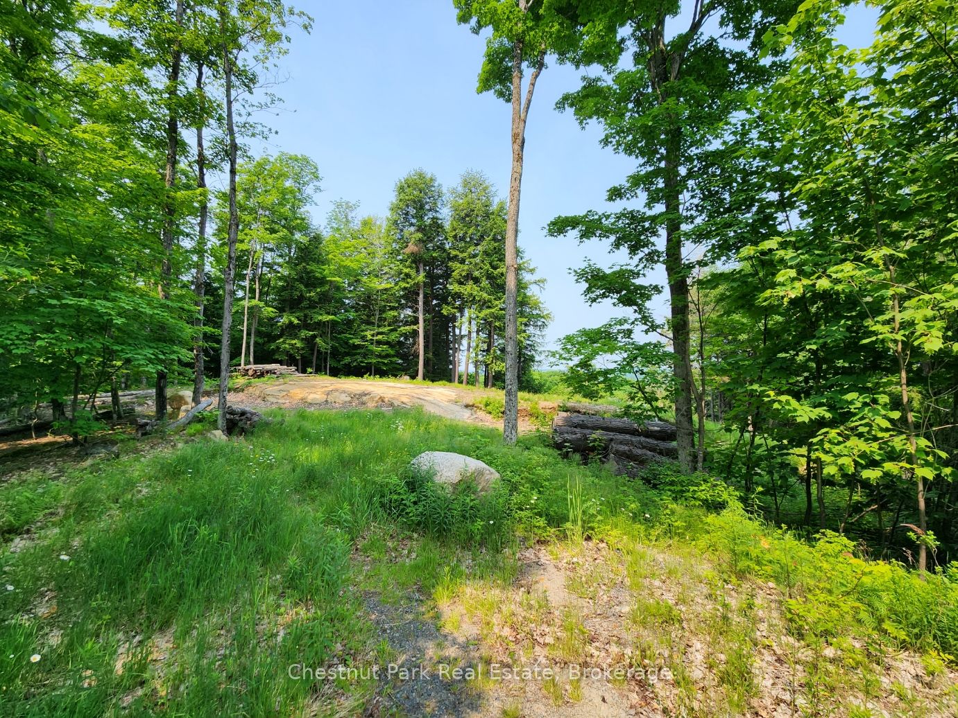 19 Old Hemlock Trail Property Photo 18