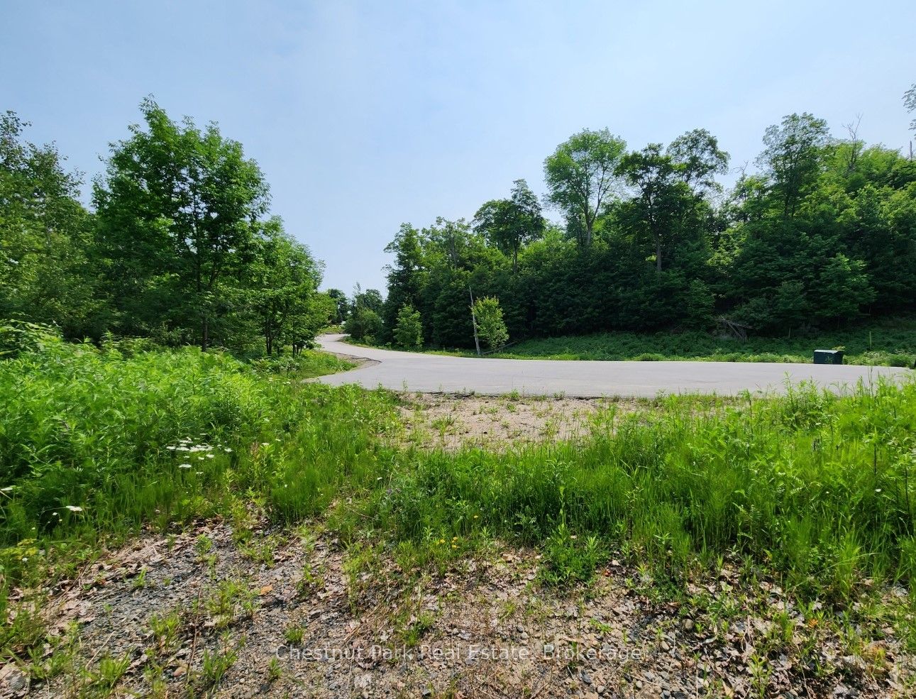 19 Old Hemlock Trail Property Photo 19