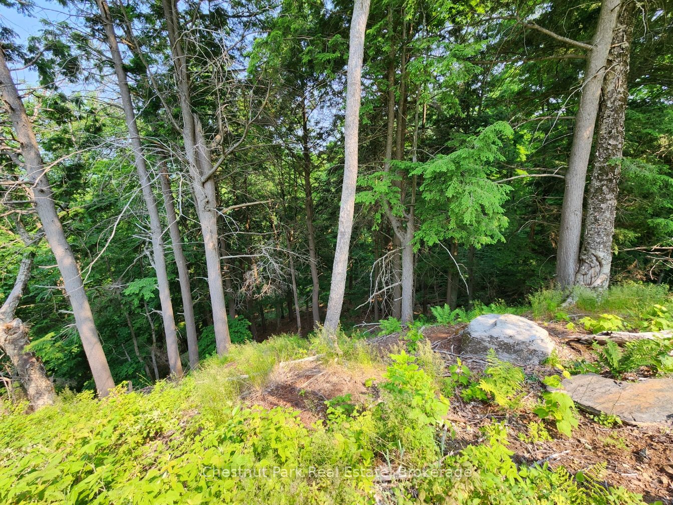 19 Old Hemlock Trail Property Photo 22