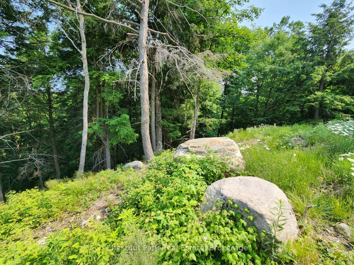 19 Old Hemlock Trail Property Photo 23