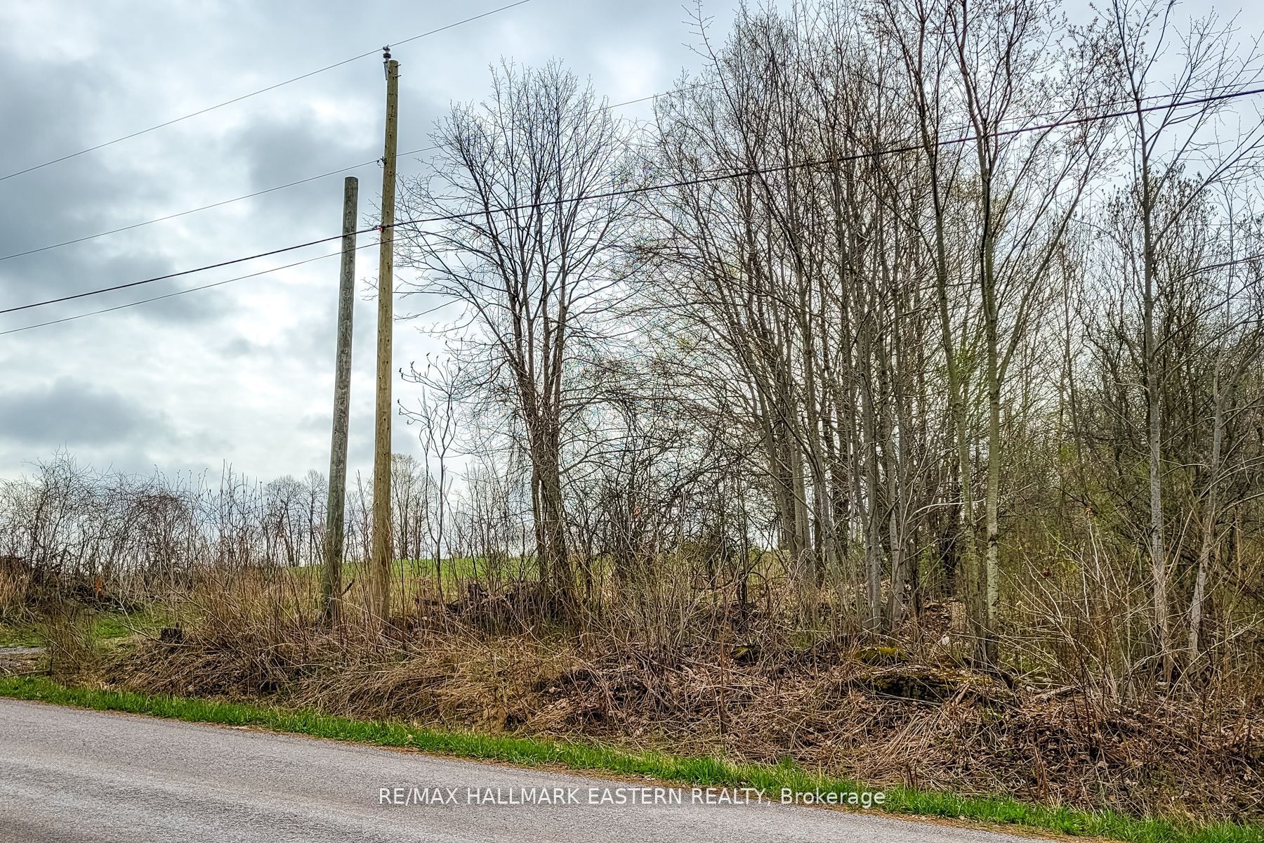 1737 Thirteenth Line Property Photo 3
