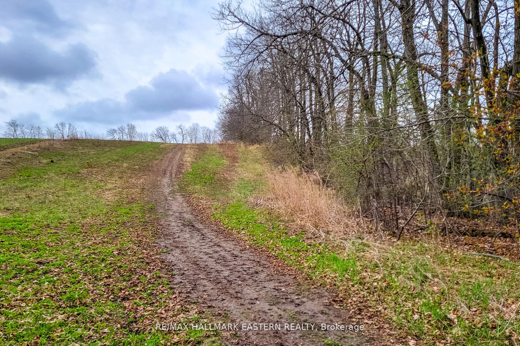 1737 Thirteenth Line Property Photo 6