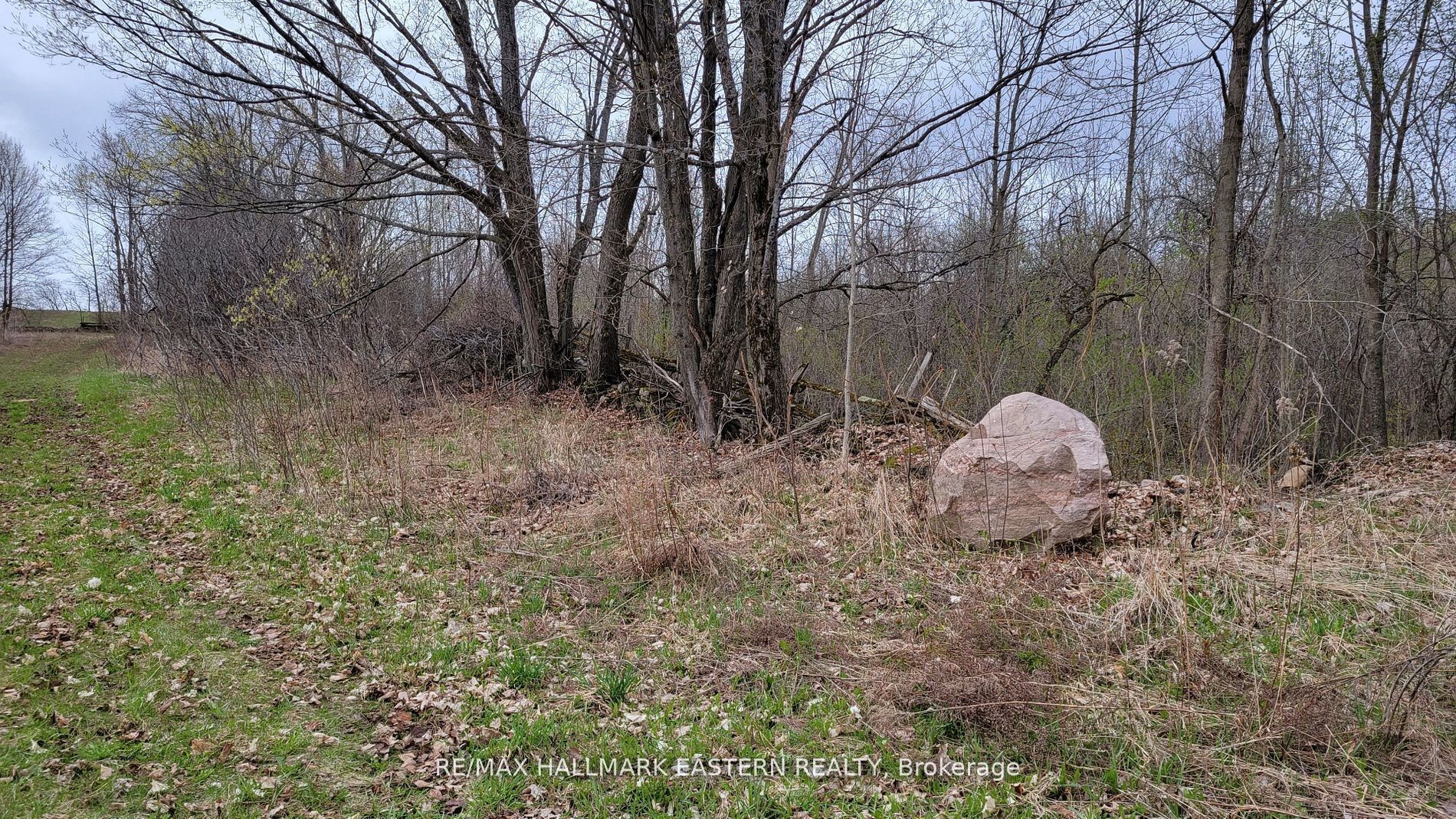 1737 Thirteenth Line Property Photo 10