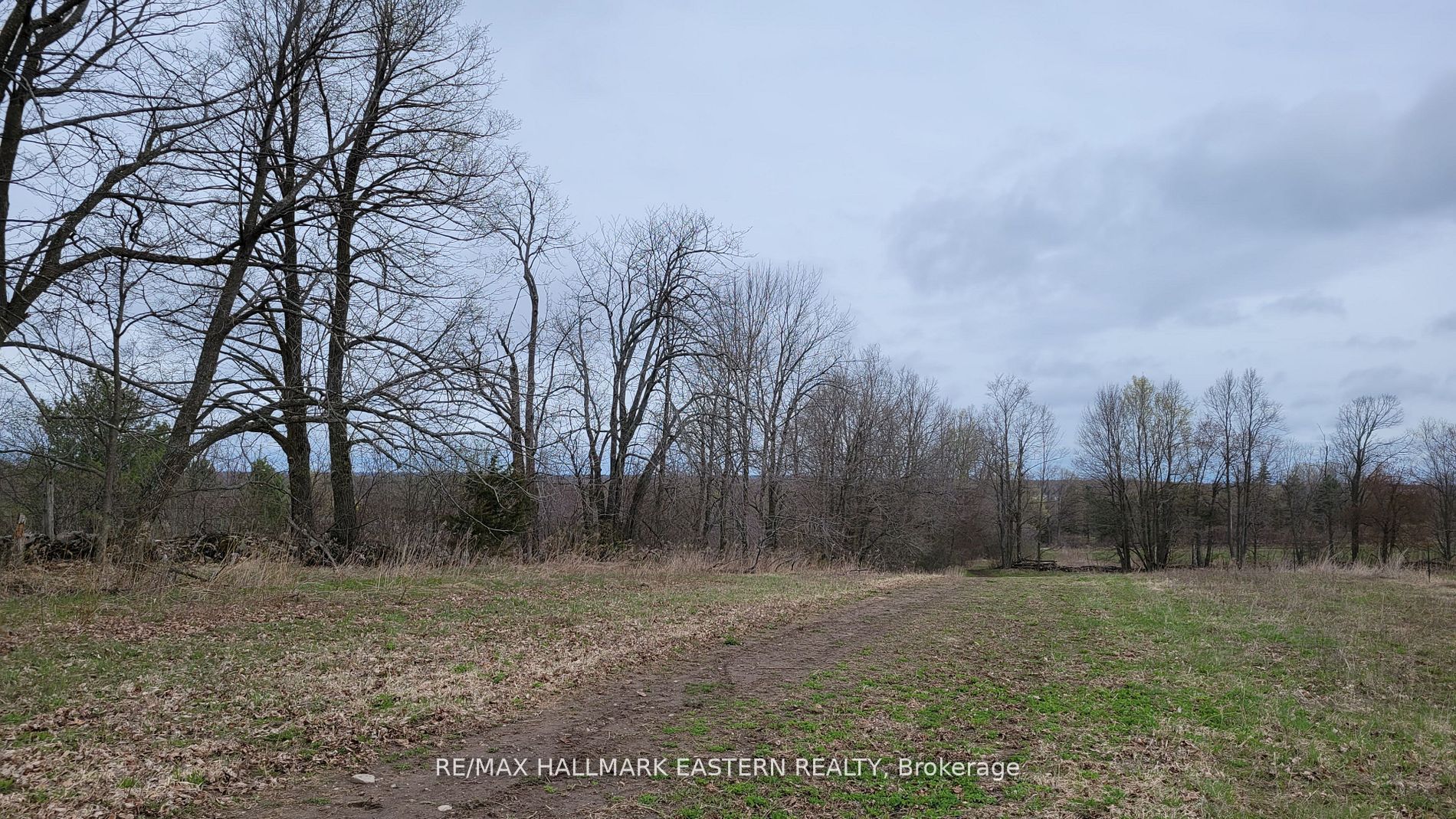 1737 Thirteenth Line Property Photo 11