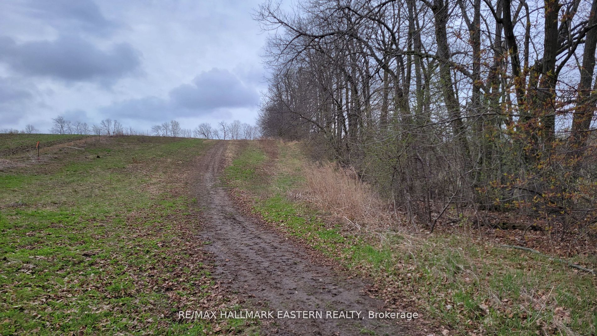 1737 Thirteenth Line Property Photo 13