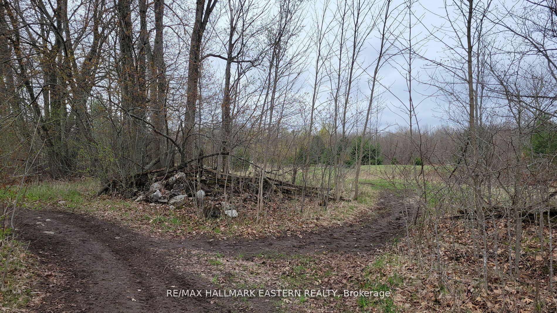 1737 Thirteenth Line Property Photo 14