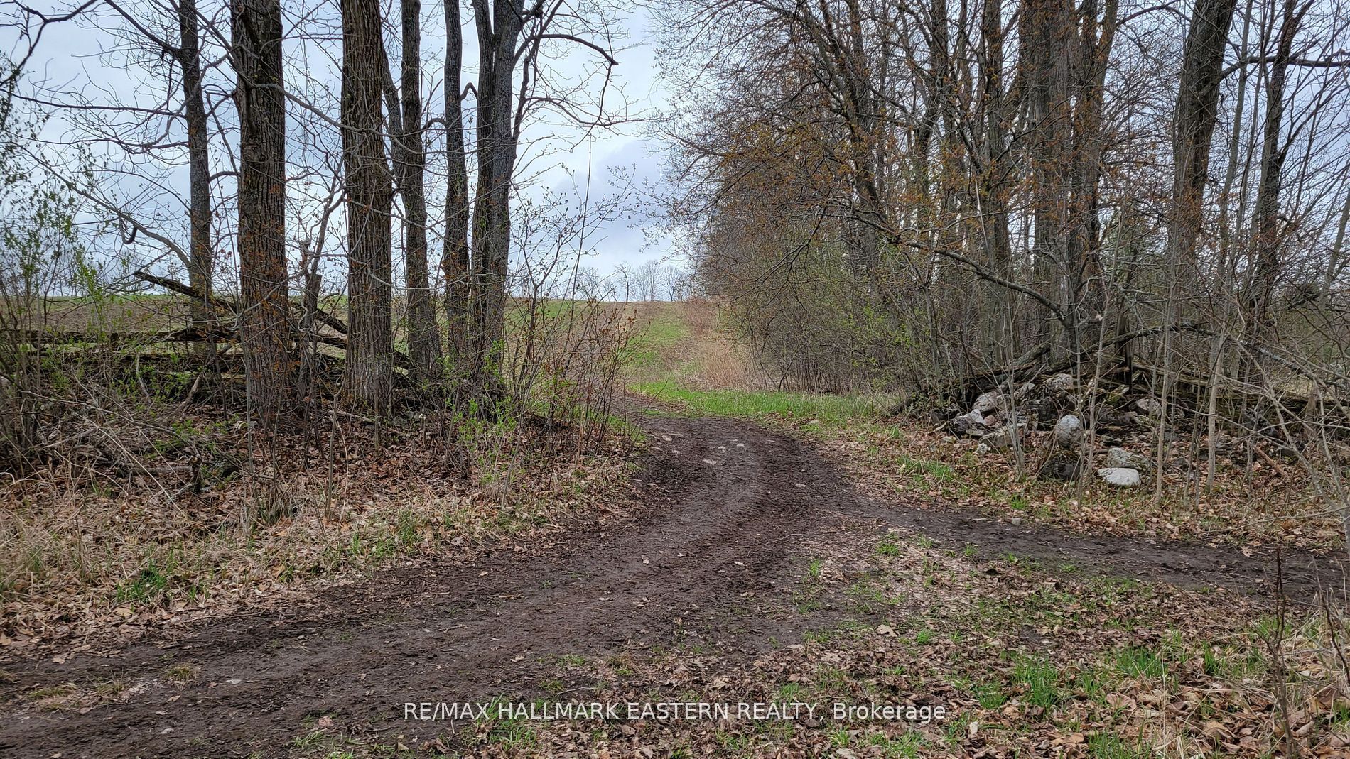 1737 Thirteenth Line Property Photo 15