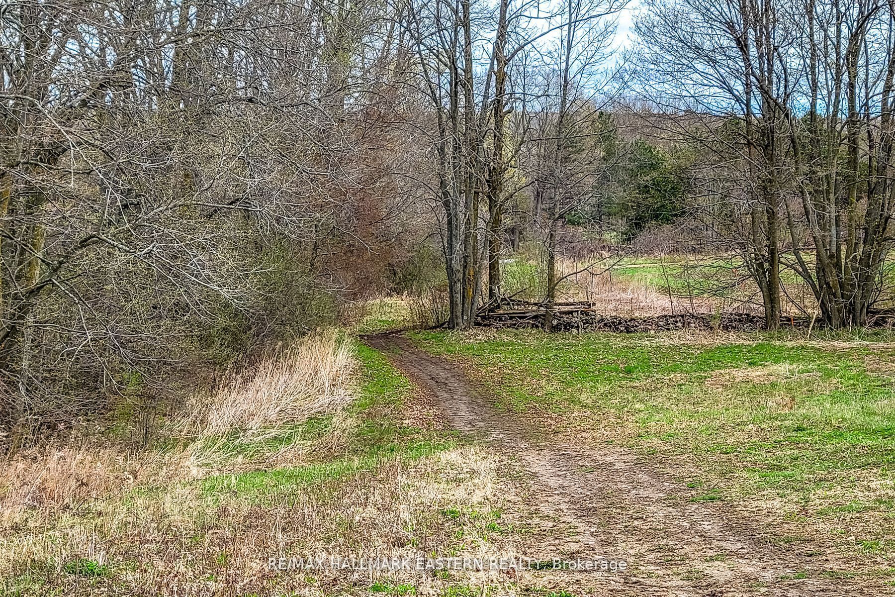 1737 Thirteenth Line Property Photo 16