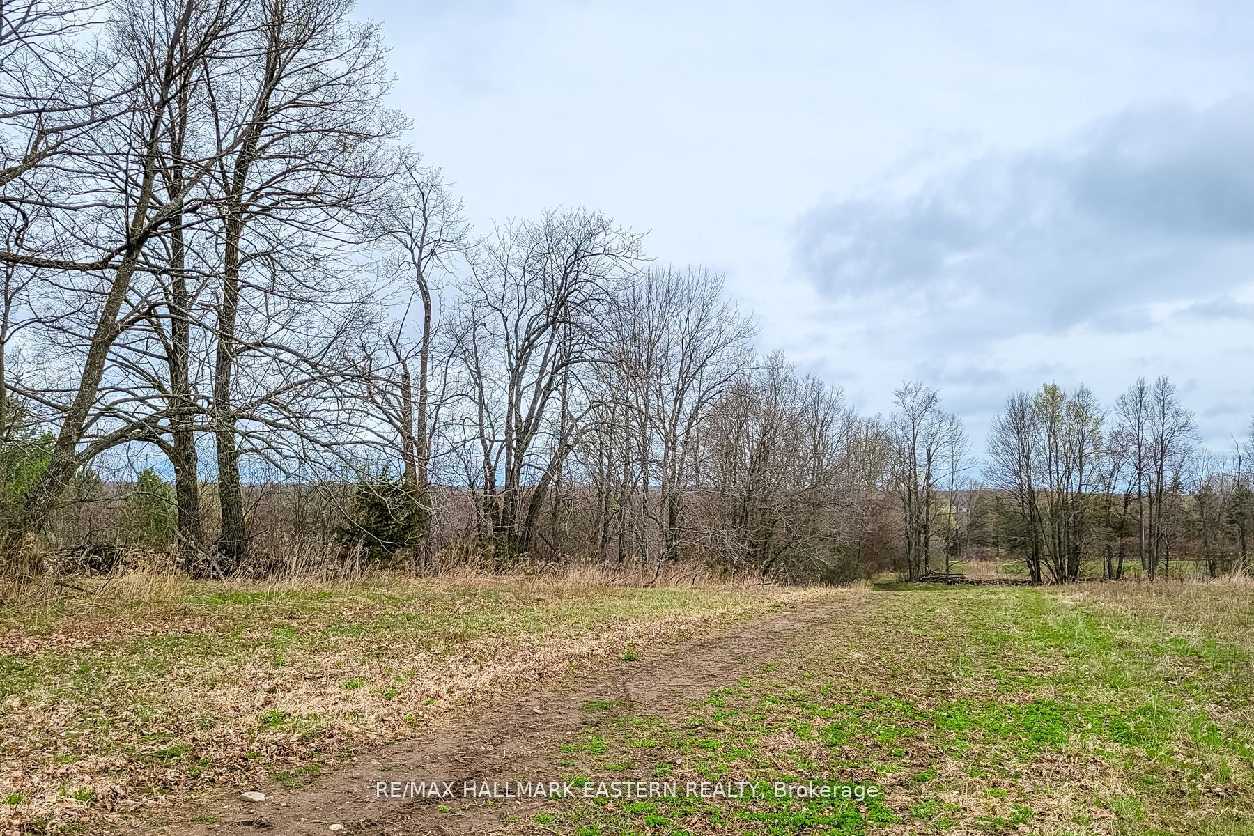 1737 Thirteenth Line Property Photo 17