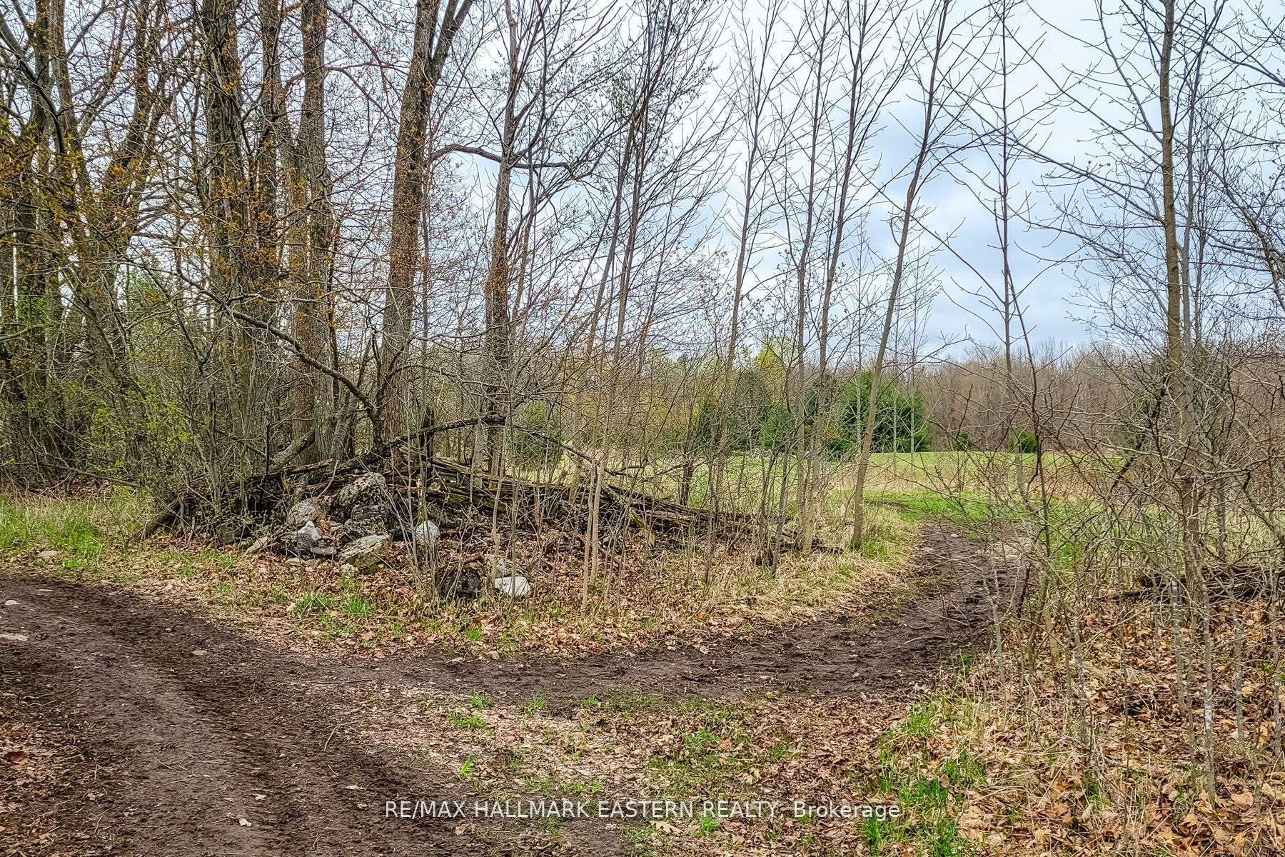 1737 Thirteenth Line Property Photo 19