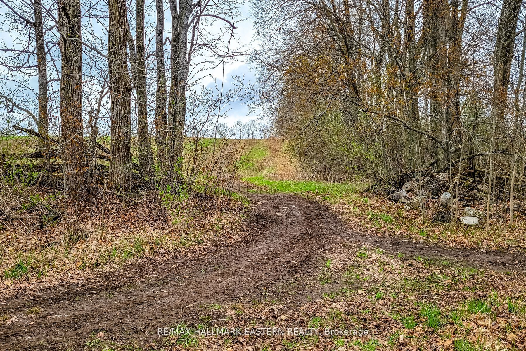 1737 Thirteenth Line Property Photo 20
