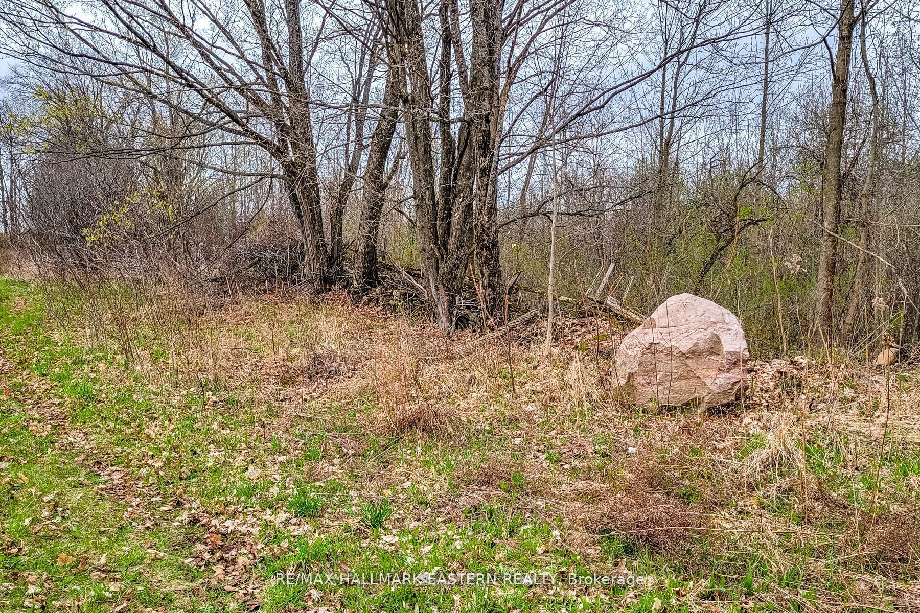 1737 Thirteenth Line Property Photo 21