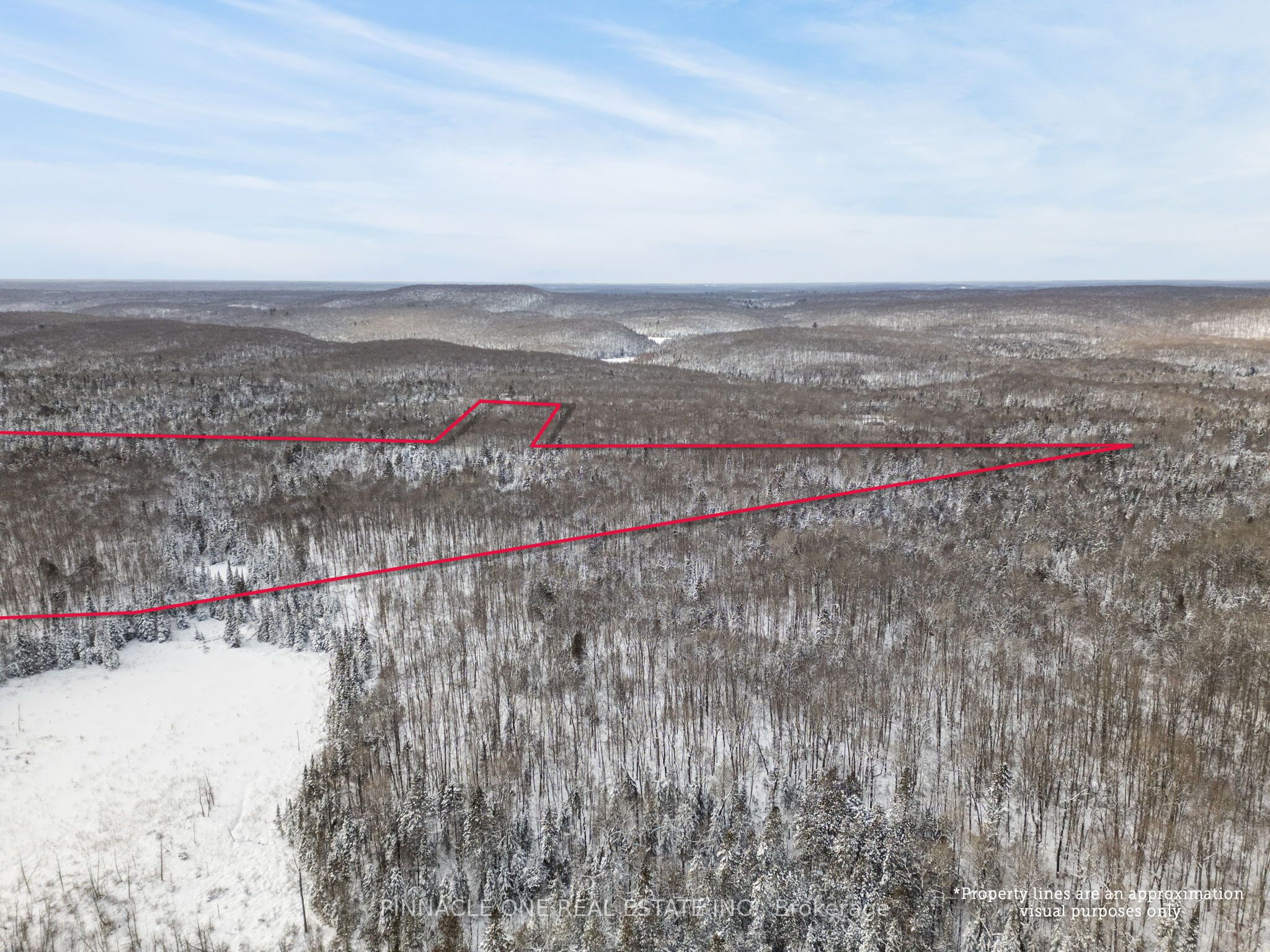 12626 County Rd 503 Road Property Photo 2