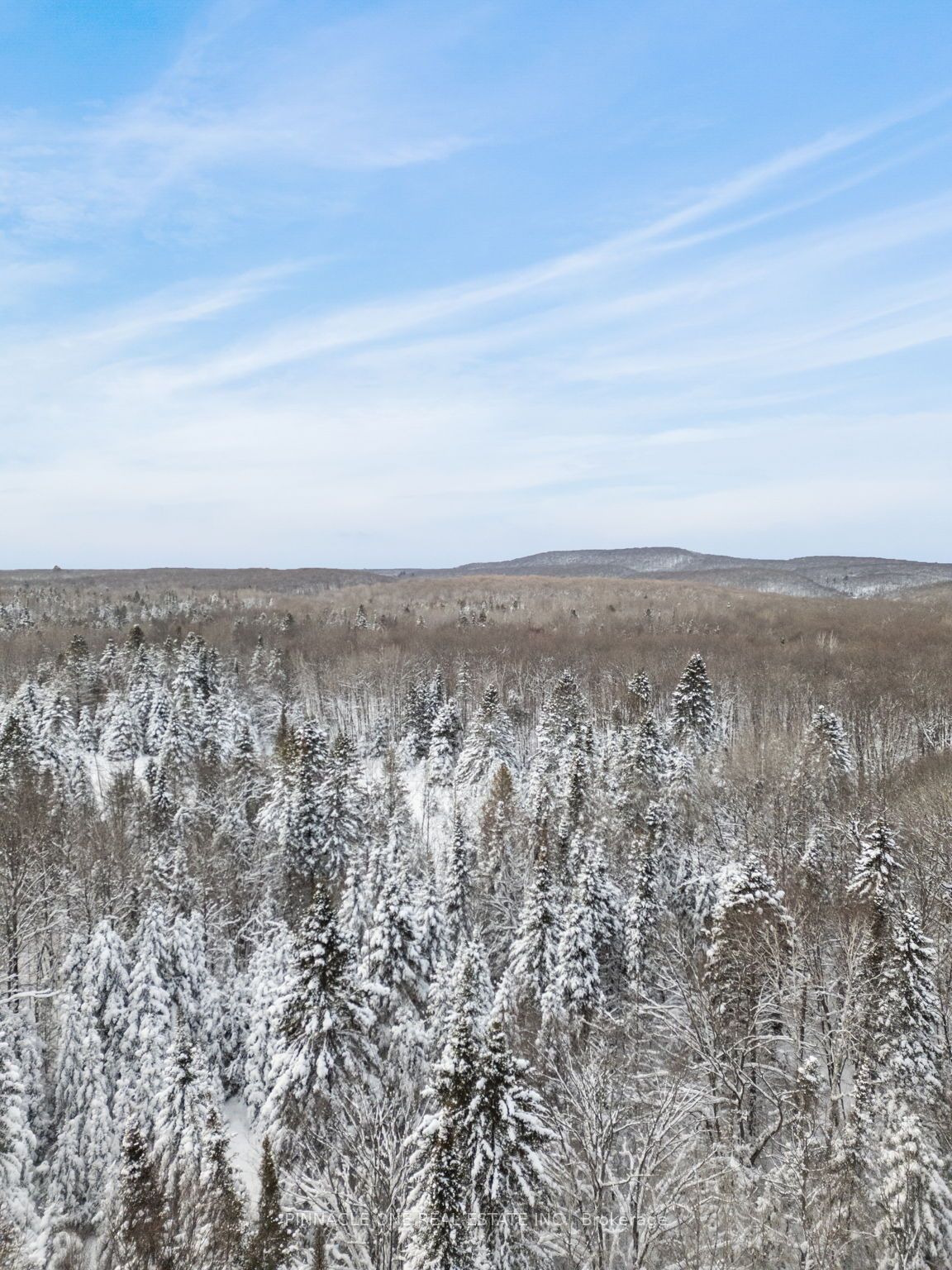 12626 County Rd 503 Road Property Photo 5