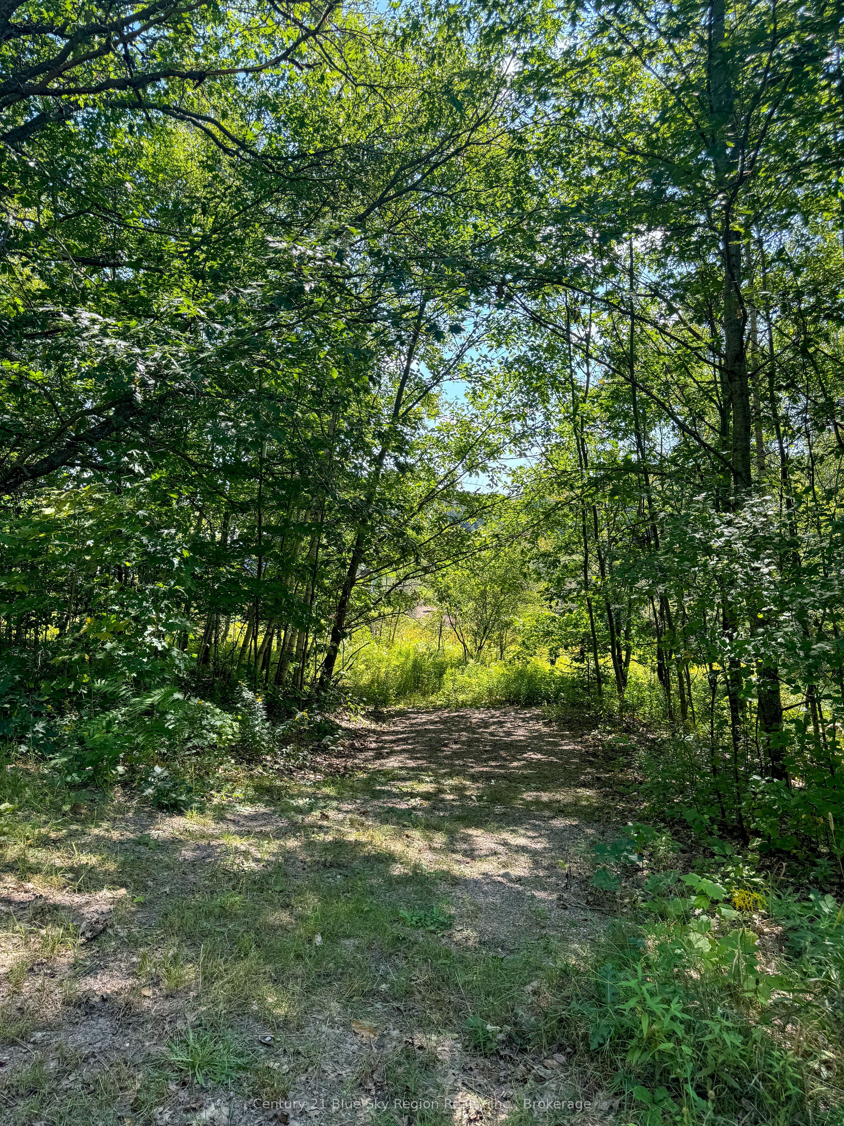 Part Lot 13 South Shore Road Property Photo 4