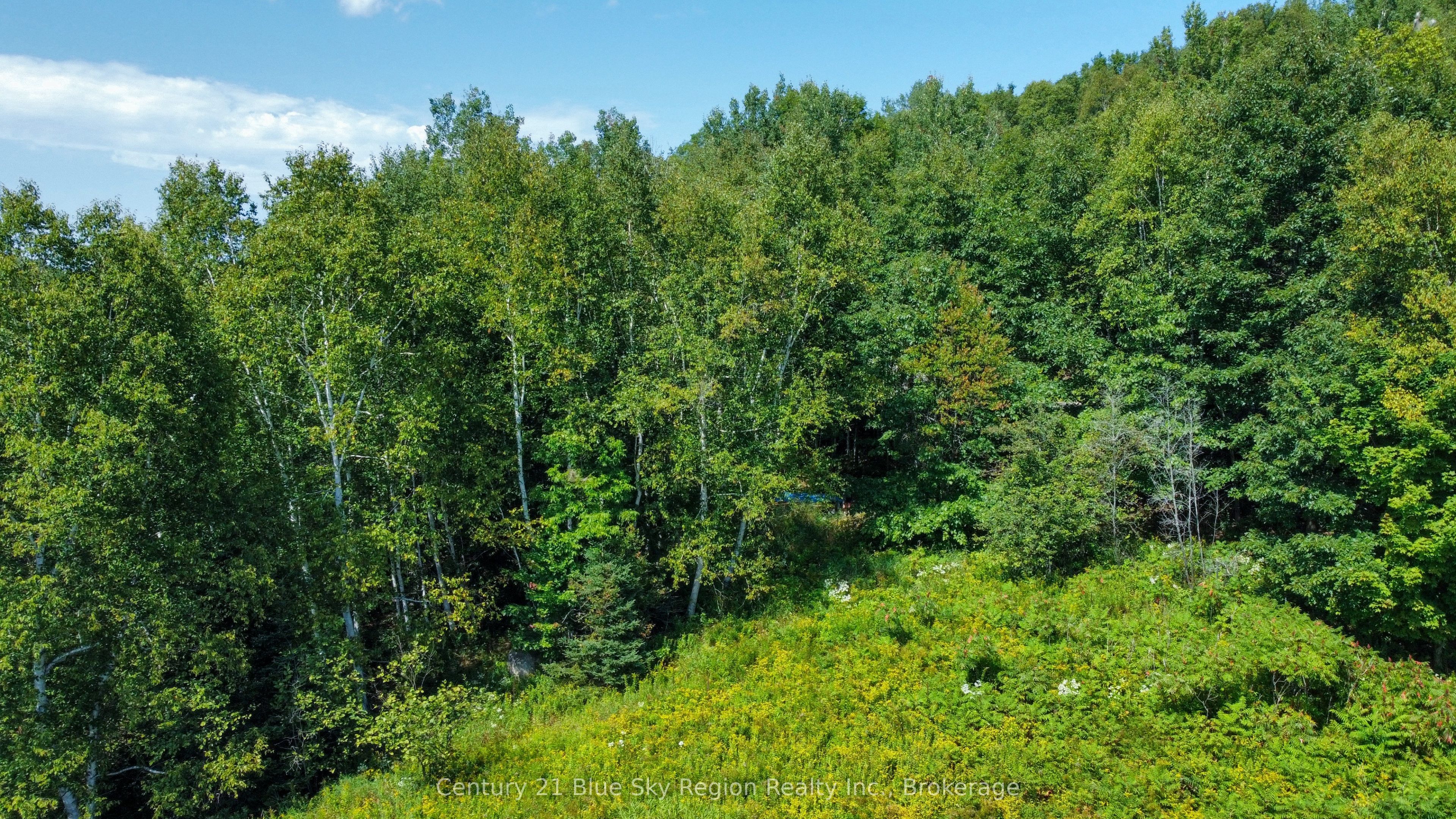 Part Lot 13 South Shore Road Property Photo 5
