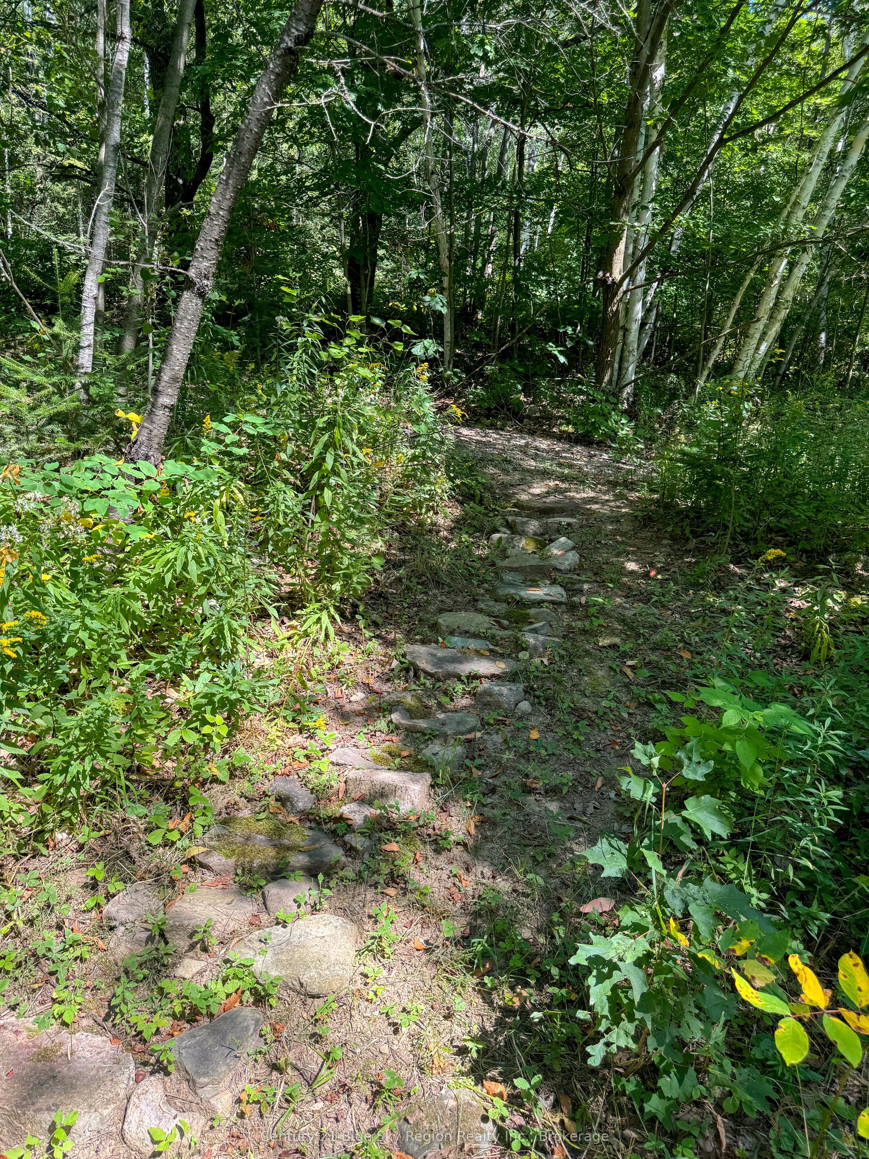 Part Lot 13 South Shore Road Property Photo 6