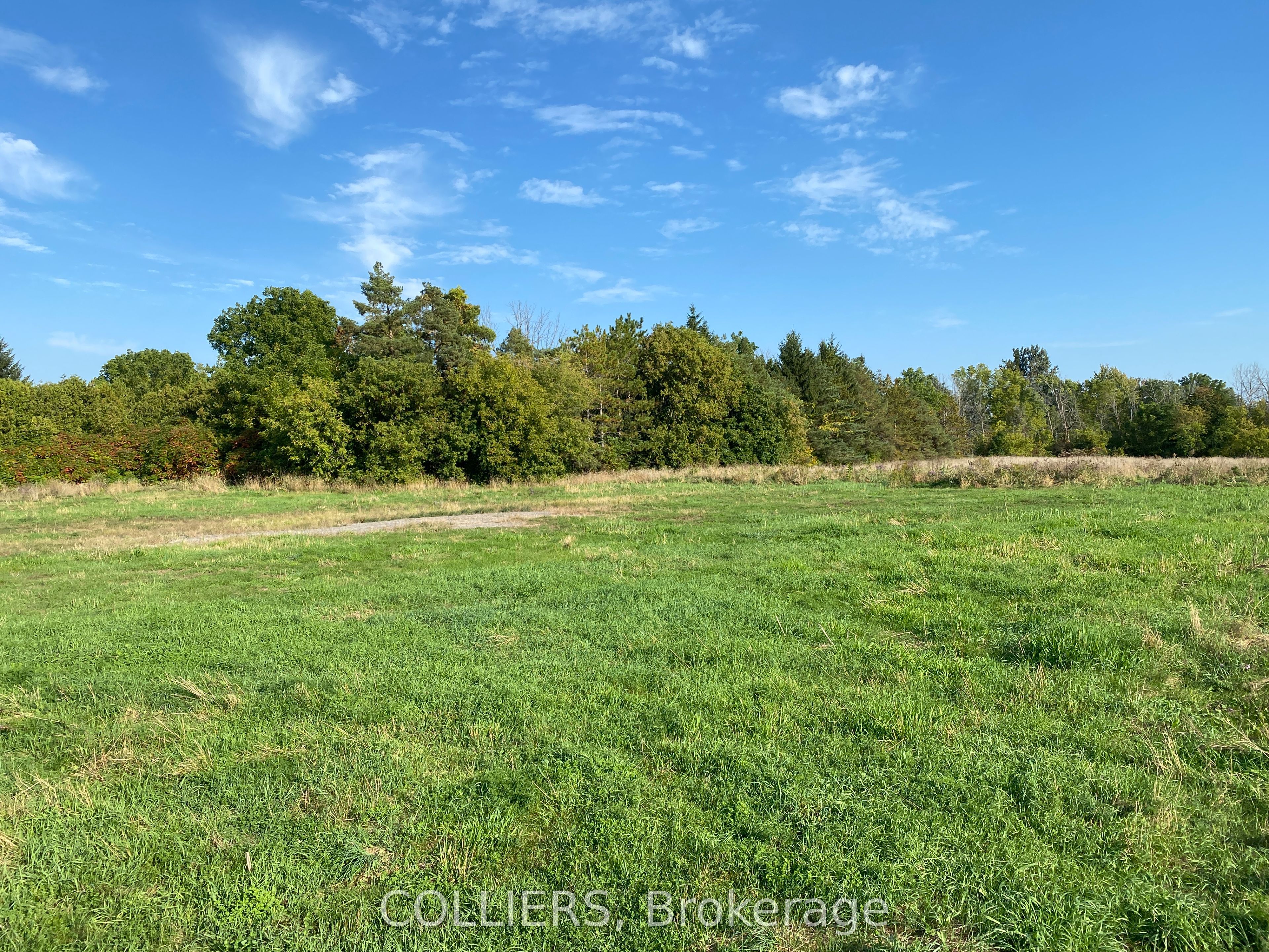 160 Queen Street Property Photo 2