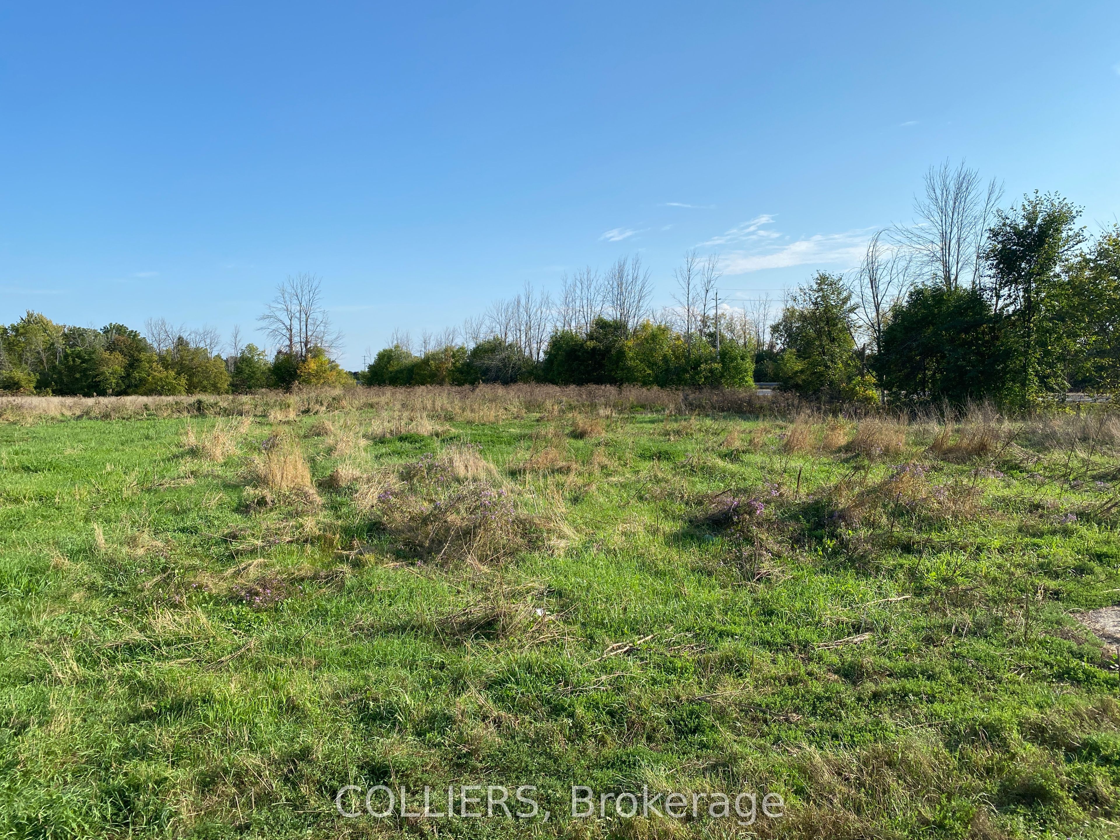 160 Queen Street Property Photo 3