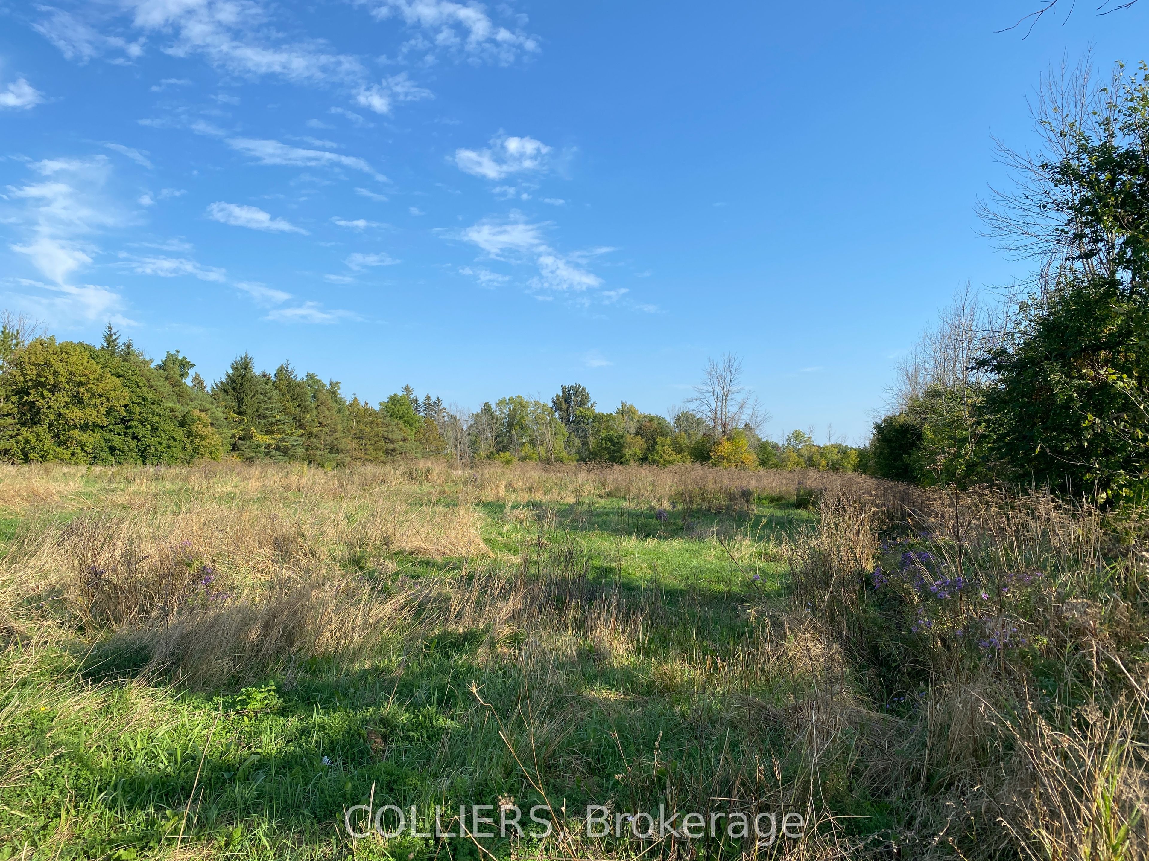 160 Queen Street Property Photo 4