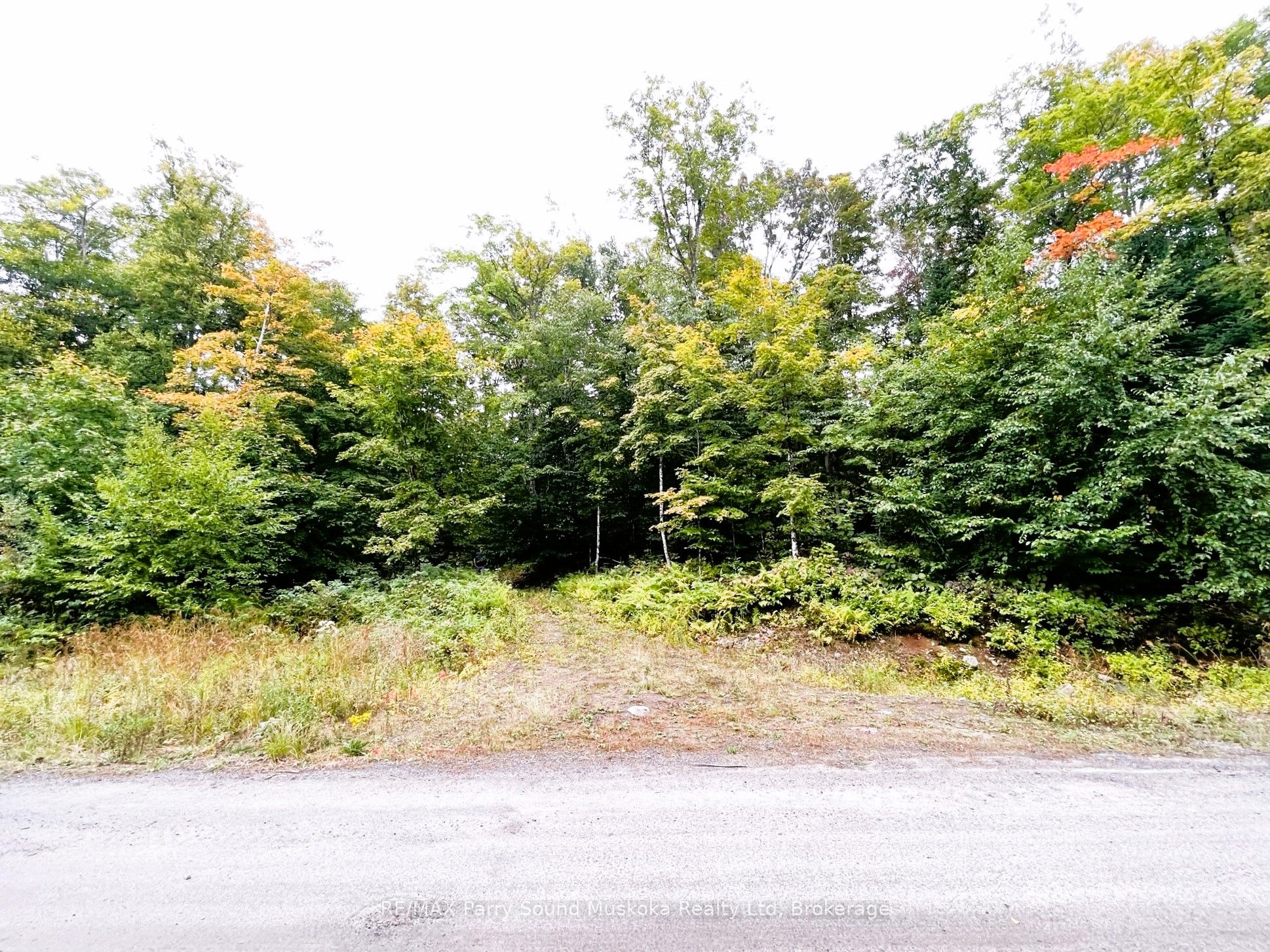 75 Granite Drive Property Photo 4