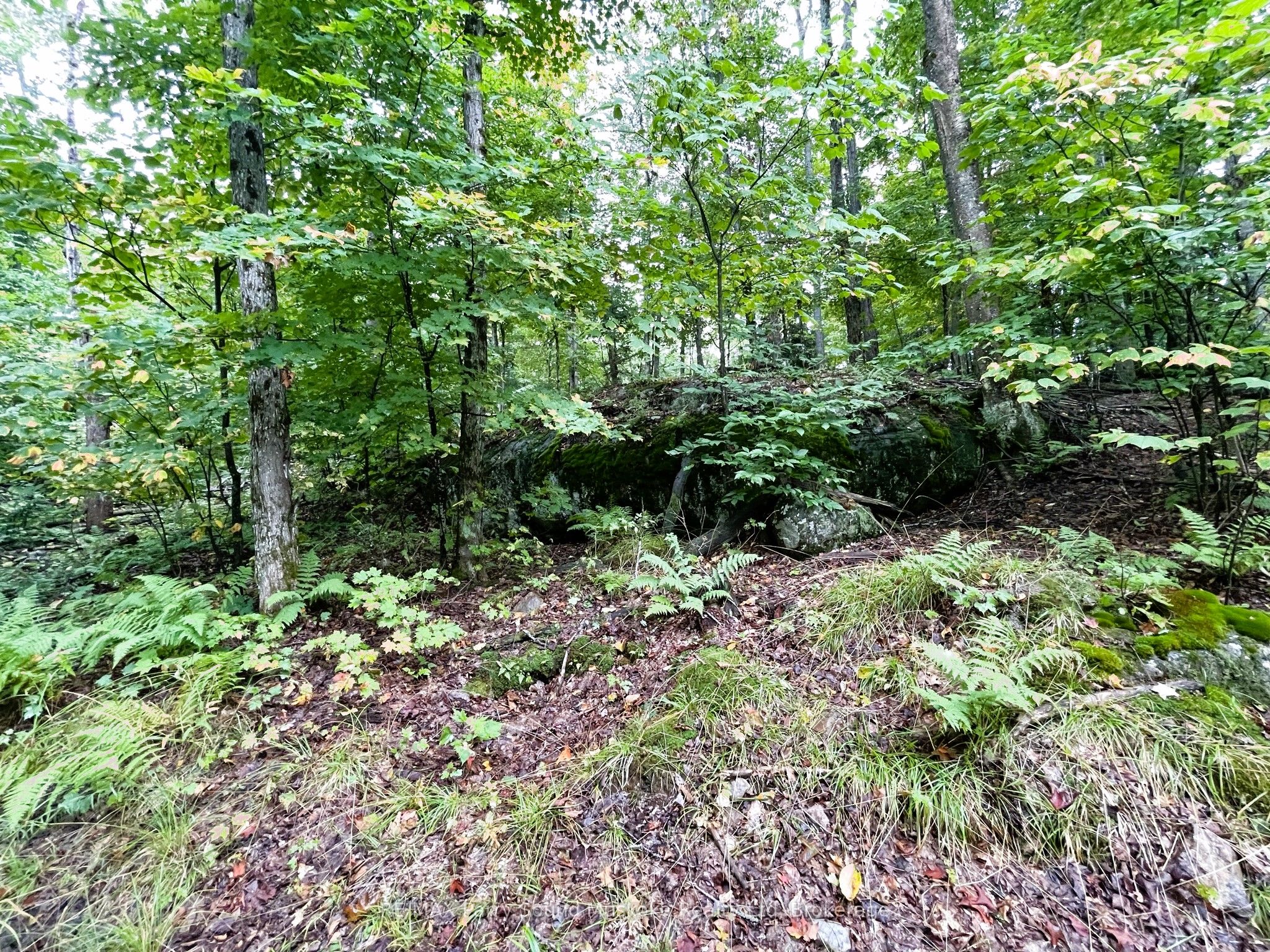 75 Granite Drive Property Photo 11