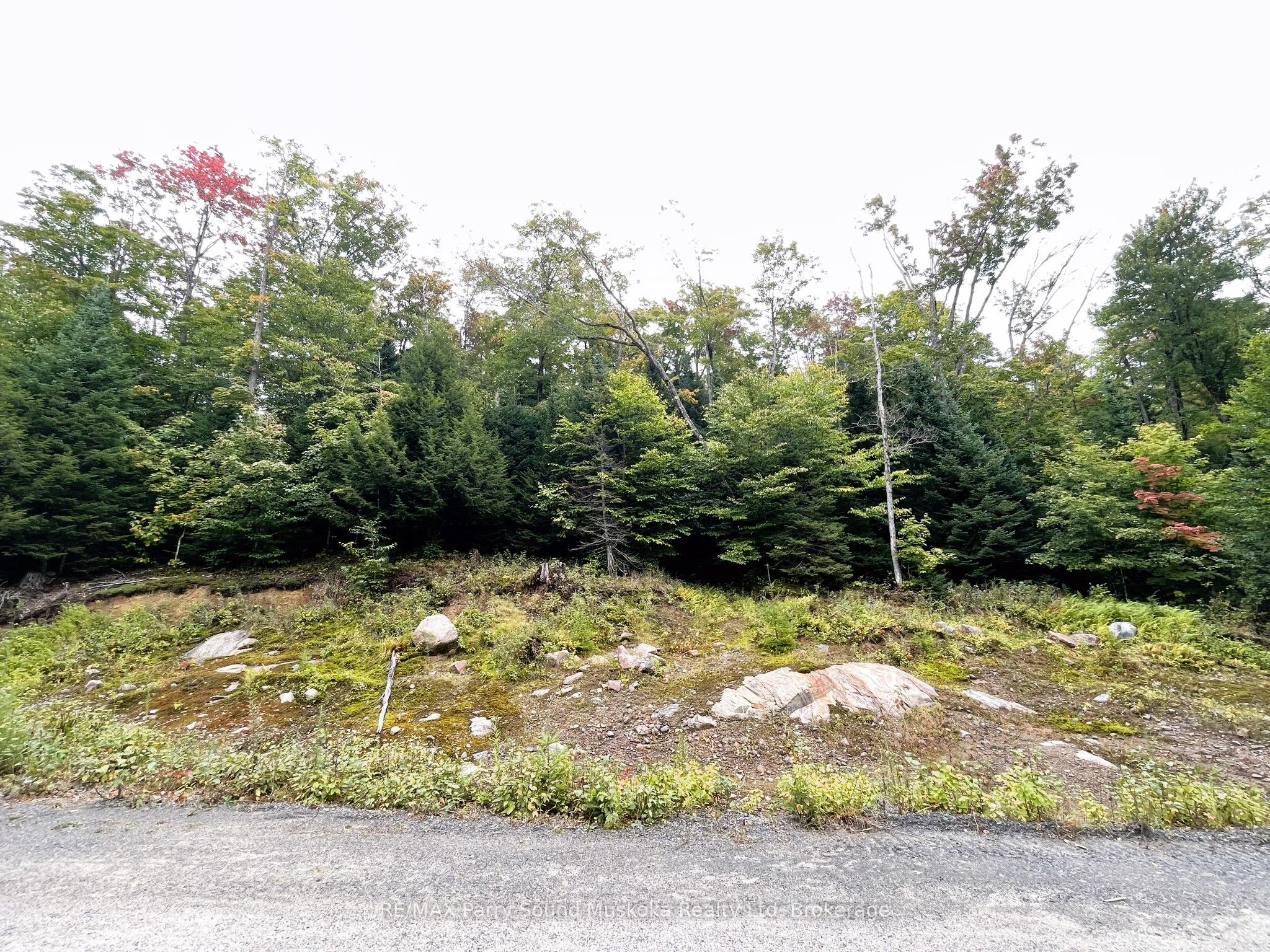 75 Granite Drive Property Photo 12
