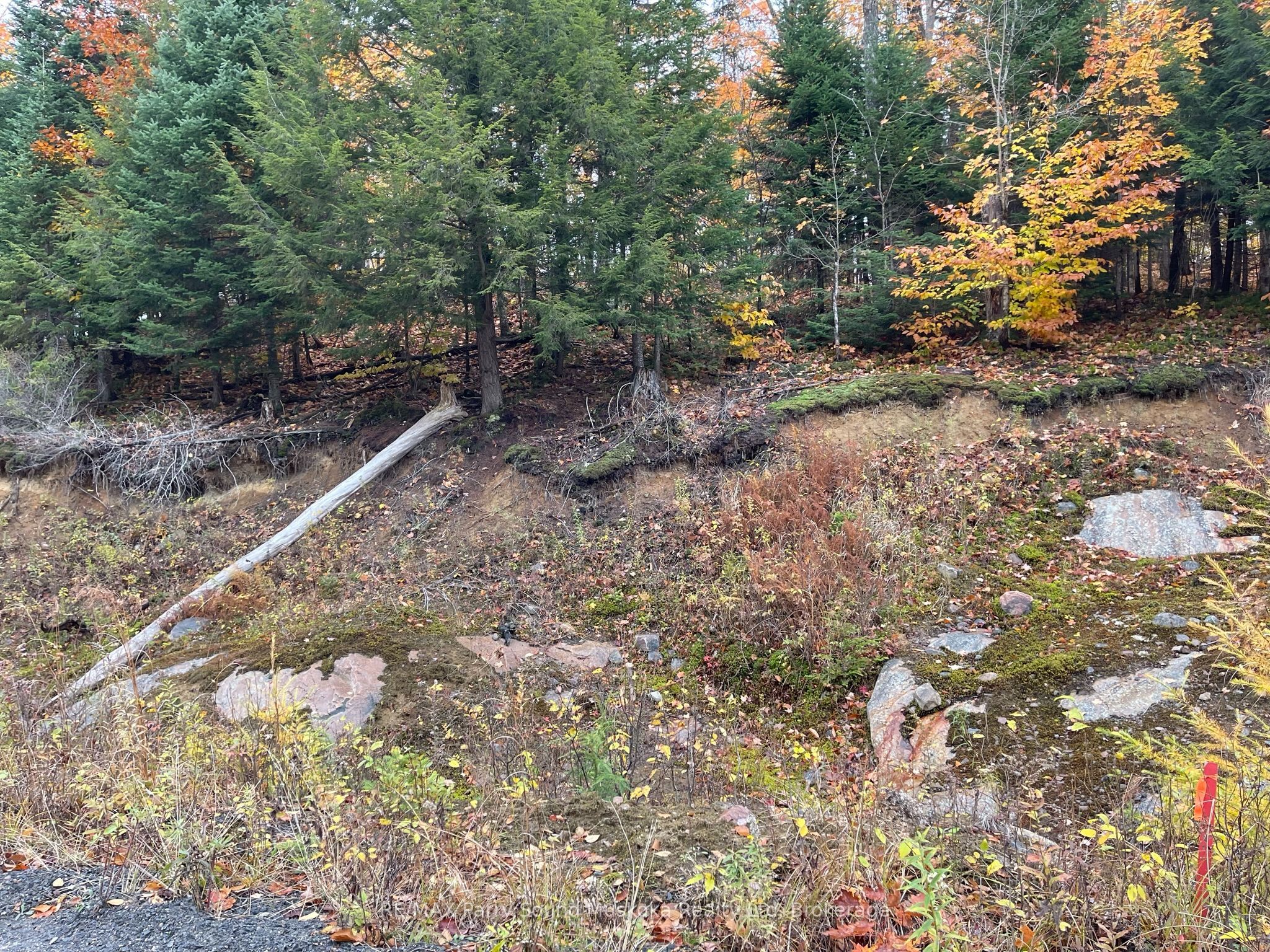 75 Granite Drive Property Photo 18