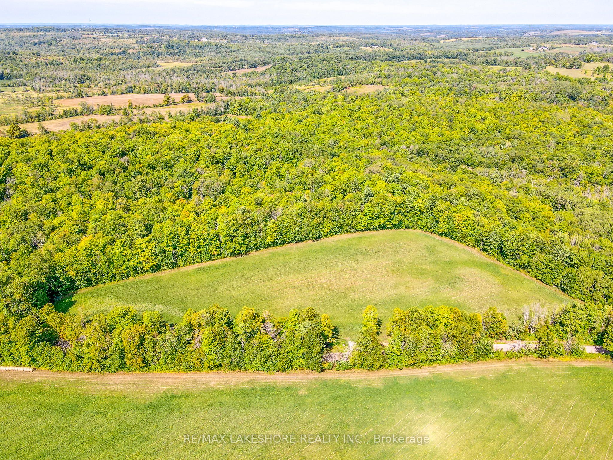 90 Richardson Road Property Photo 6
