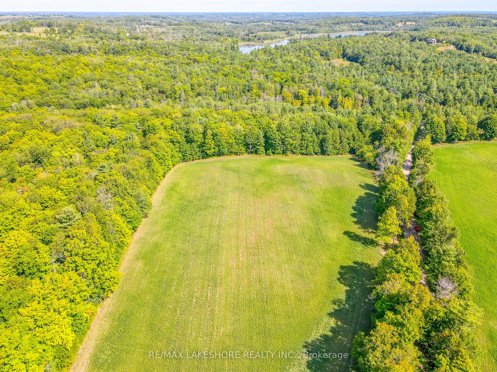90 Richardson Road Property Photo 8
