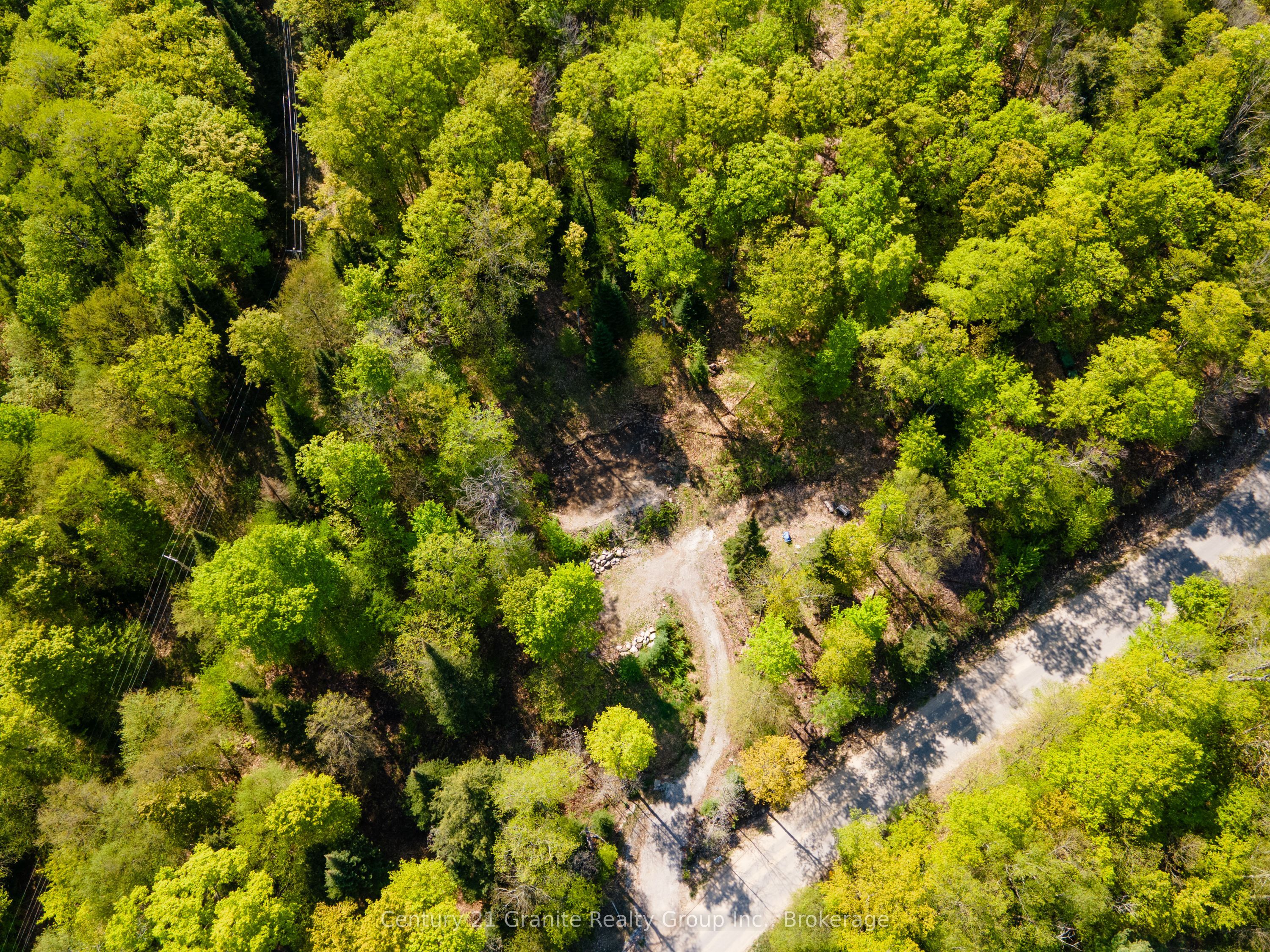 1019 Bushwolf Lake Road Property Photo 2