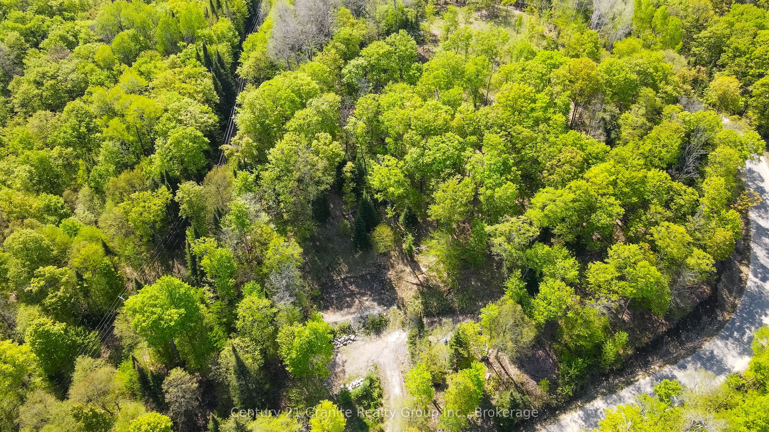 1019 Bushwolf Lake Road Property Photo 4