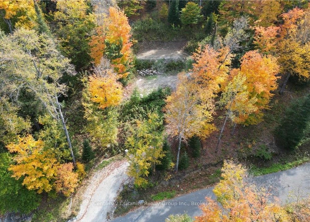 1019 Bushwolf Lake Road Property Photo 18