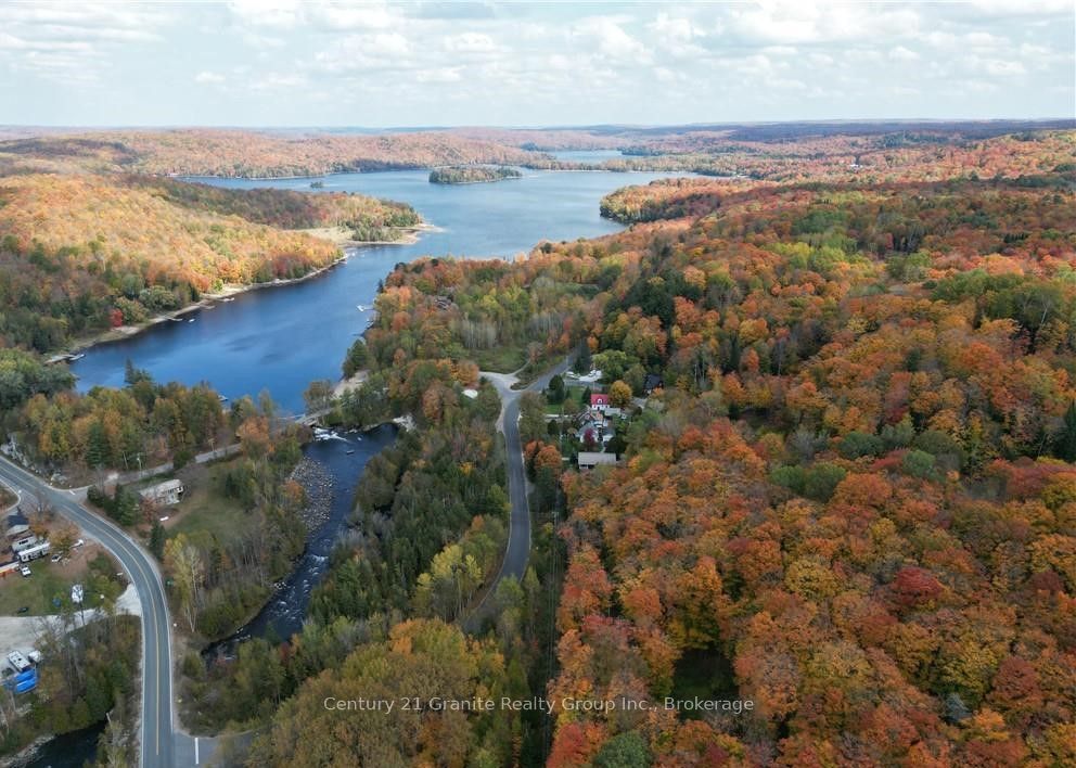 1019 Bushwolf Lake Road Property Photo 20