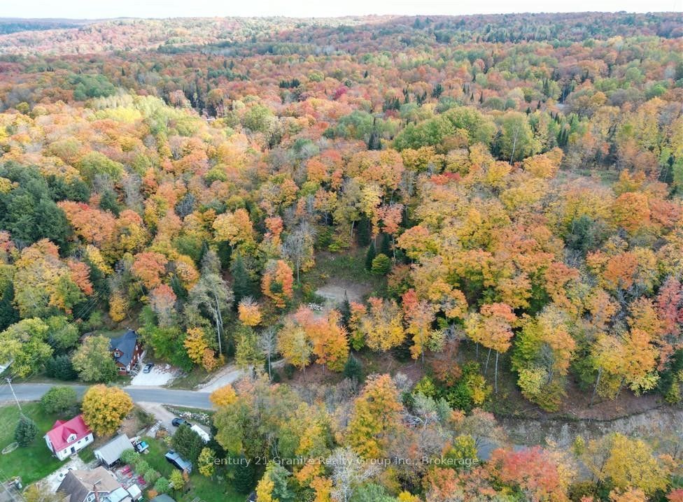 1019 Bushwolf Lake Road Property Photo 21