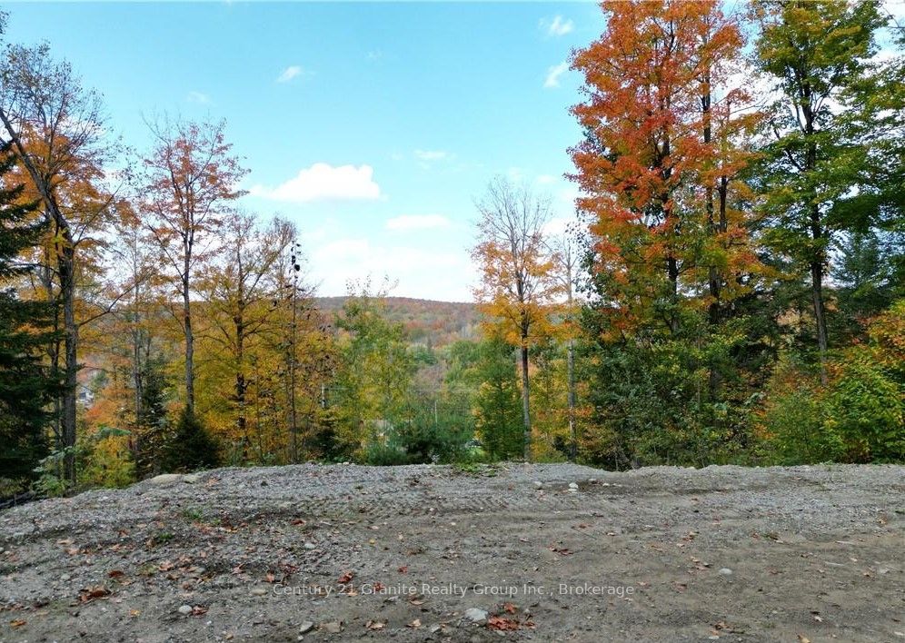 1019 Bushwolf Lake Road Property Photo 23