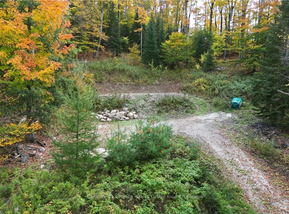 1019 Bushwolf Lake Road Property Photo 26