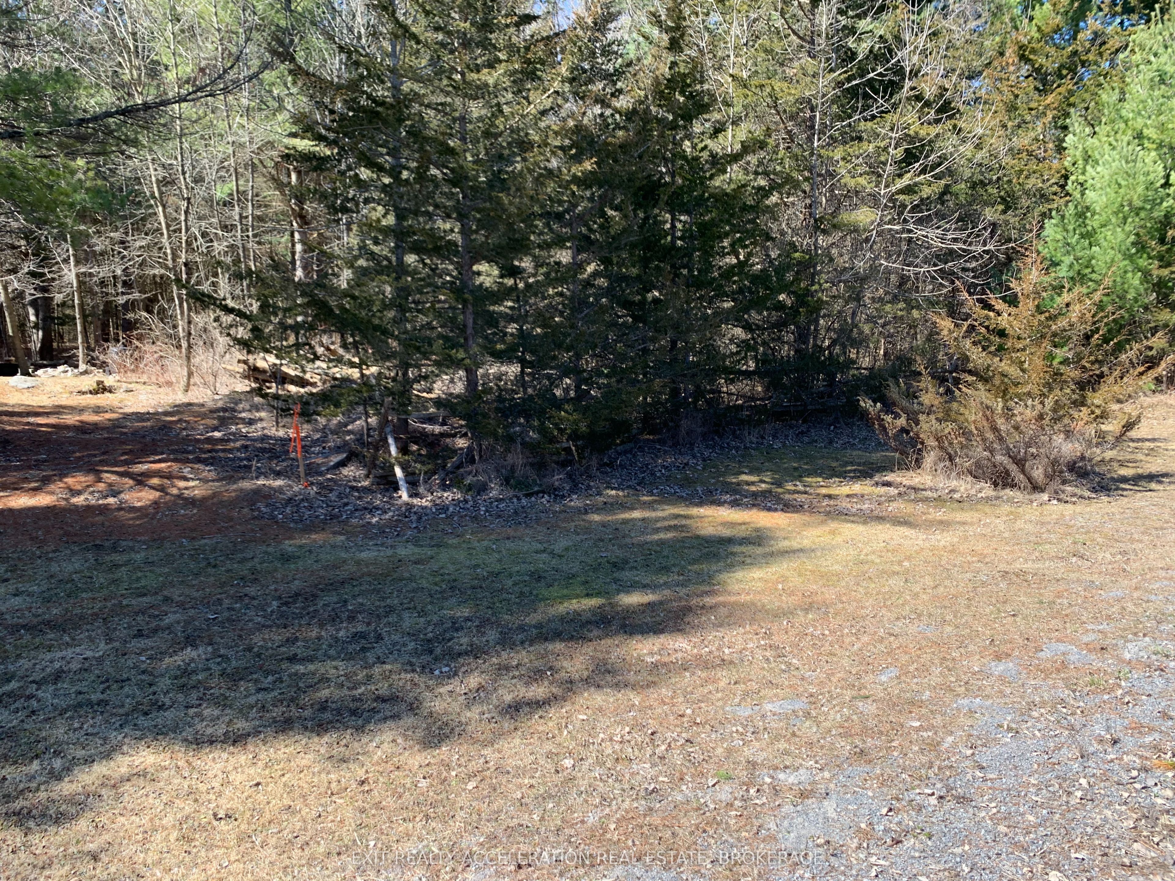 00con11 Pine Grove Road Property Photo 3