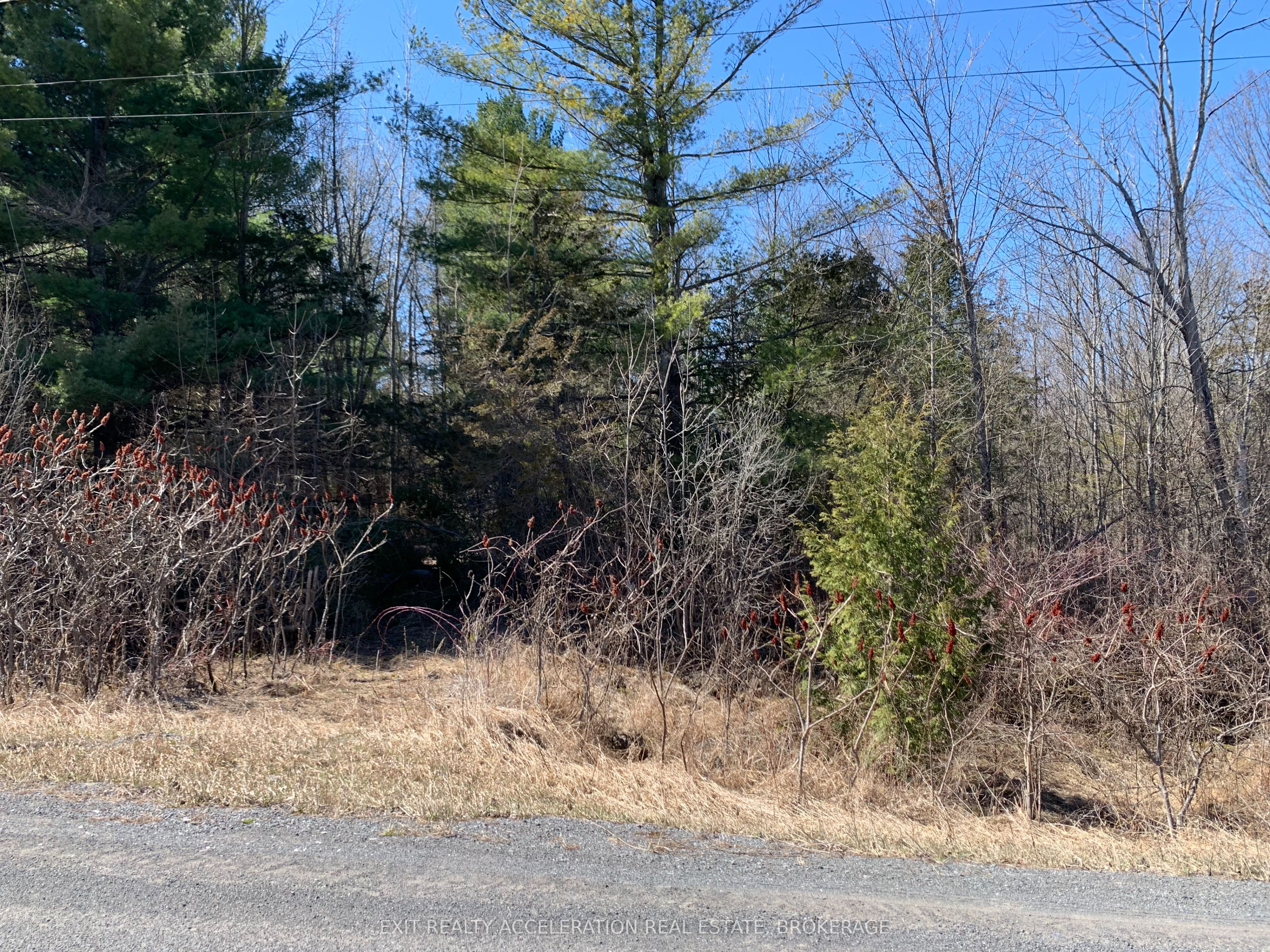 00con11 Pine Grove Road Property Photo 5