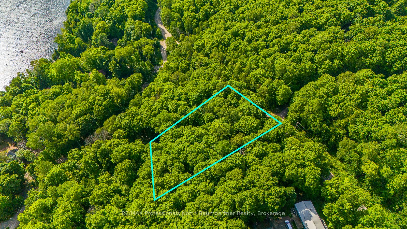 Lt 51 Wenona Lake Road Property Photo 3