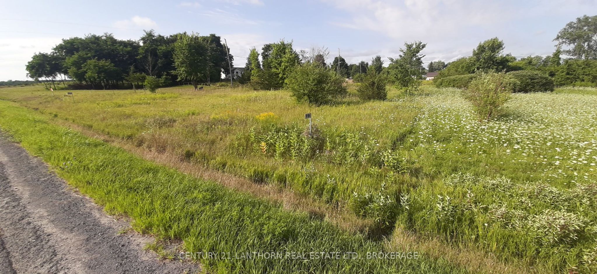 89 South Shore Road Property Photo 1