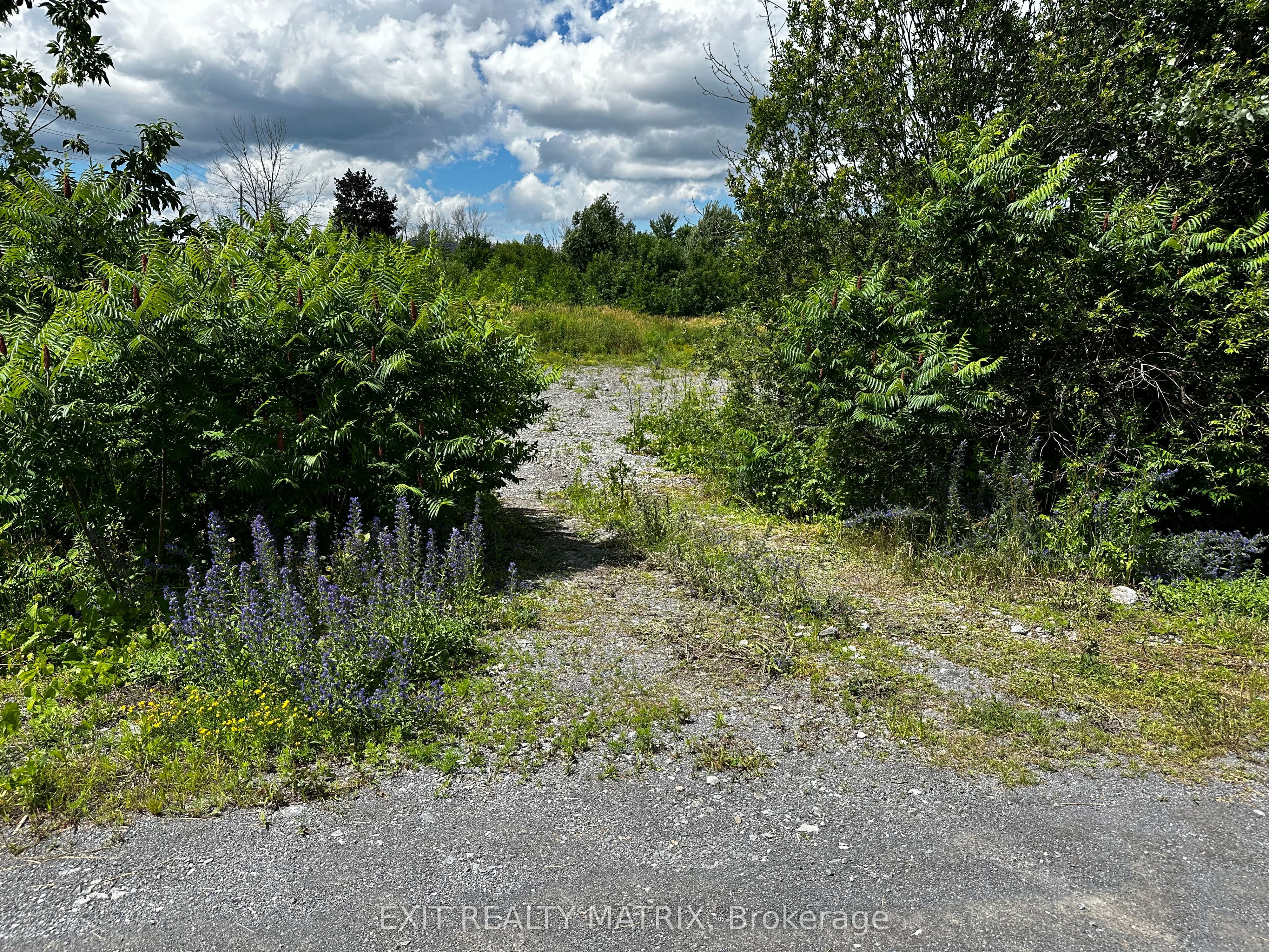 20373 Eigg Road Property Photo 11