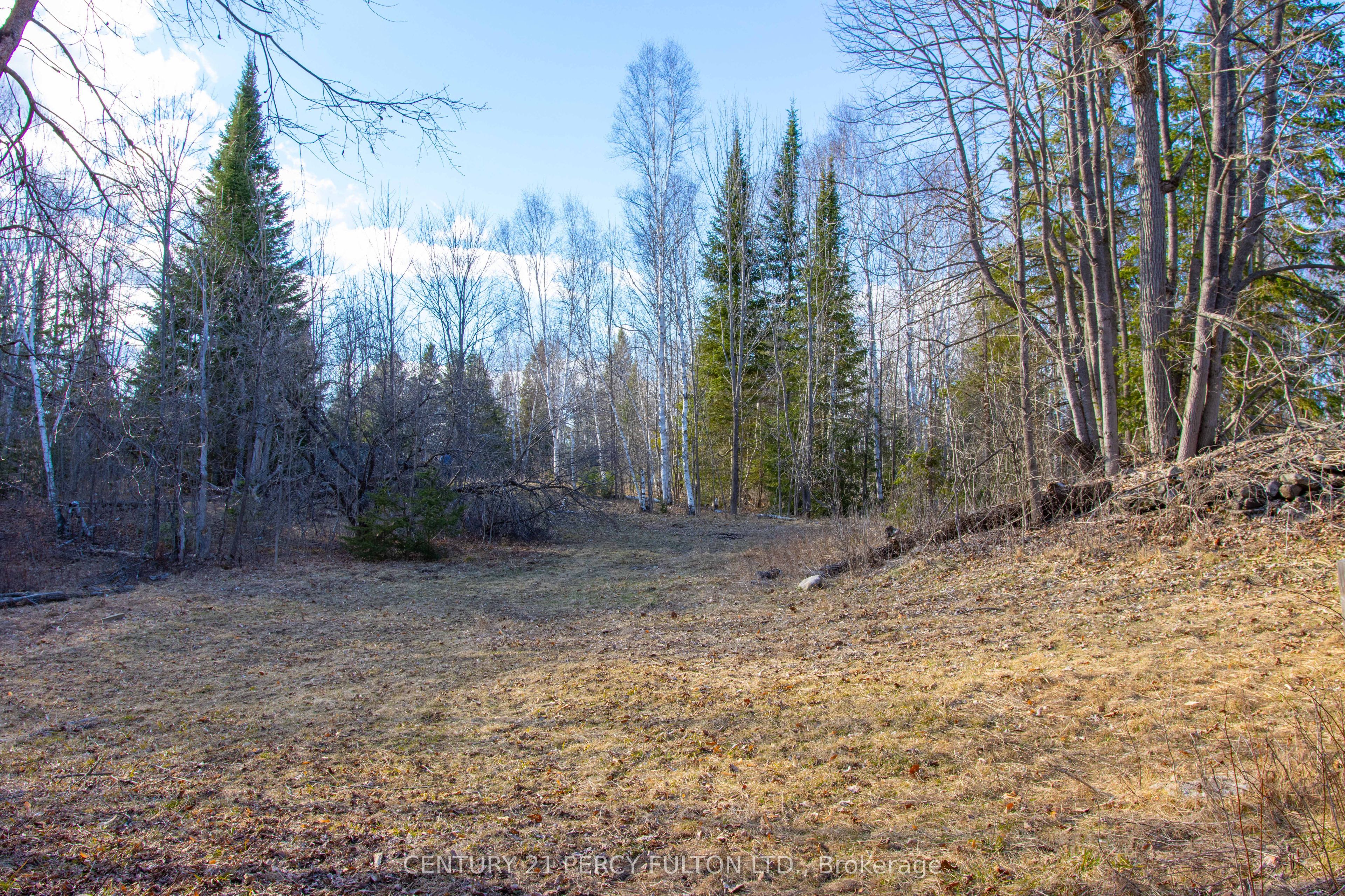 #l 24&25 - 0 Lost Nation Road Property Photo 32