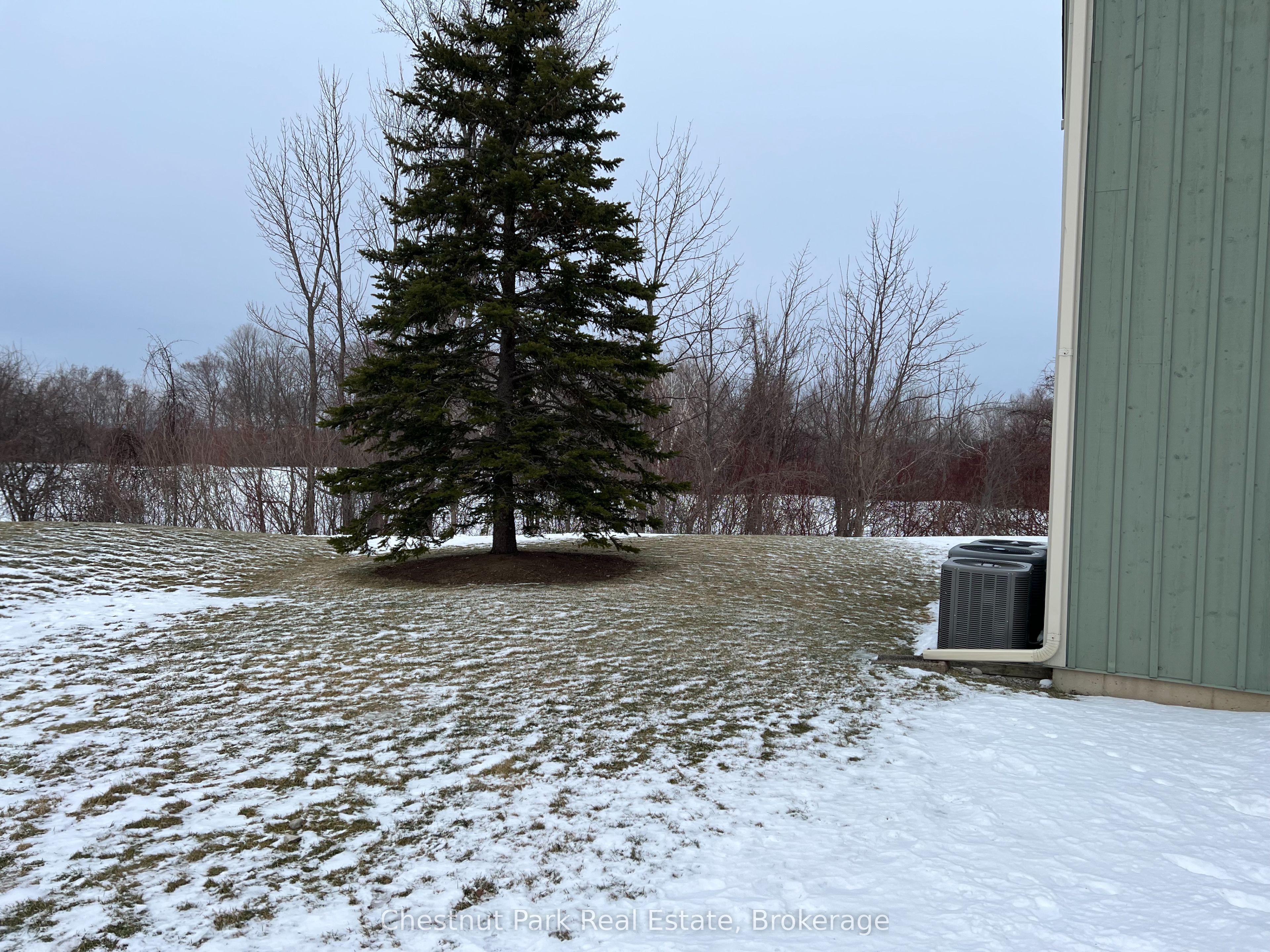 #123 - 170 Snowbridge Way Property Photo 3