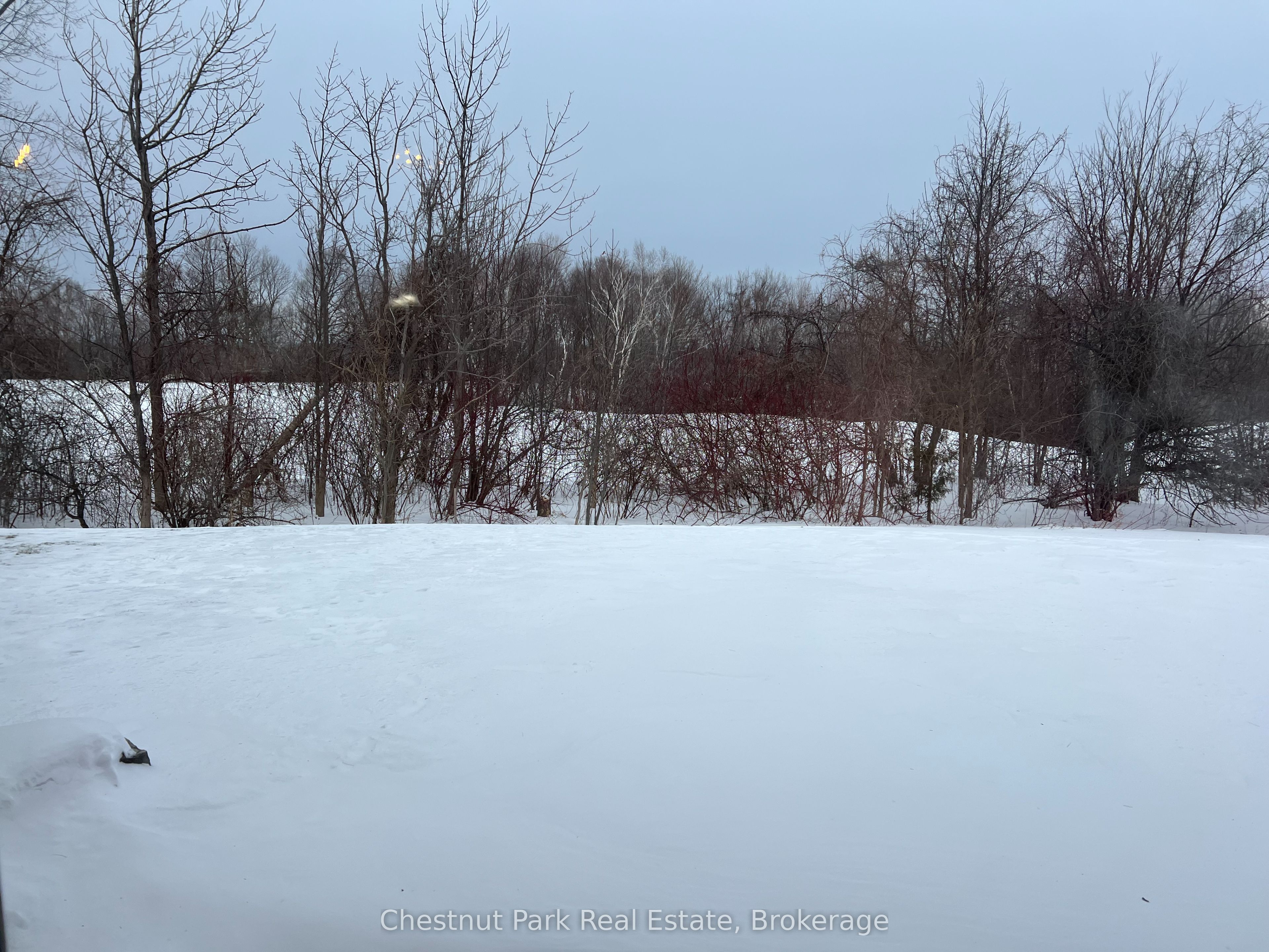 #123 - 170 Snowbridge Way Property Photo 4