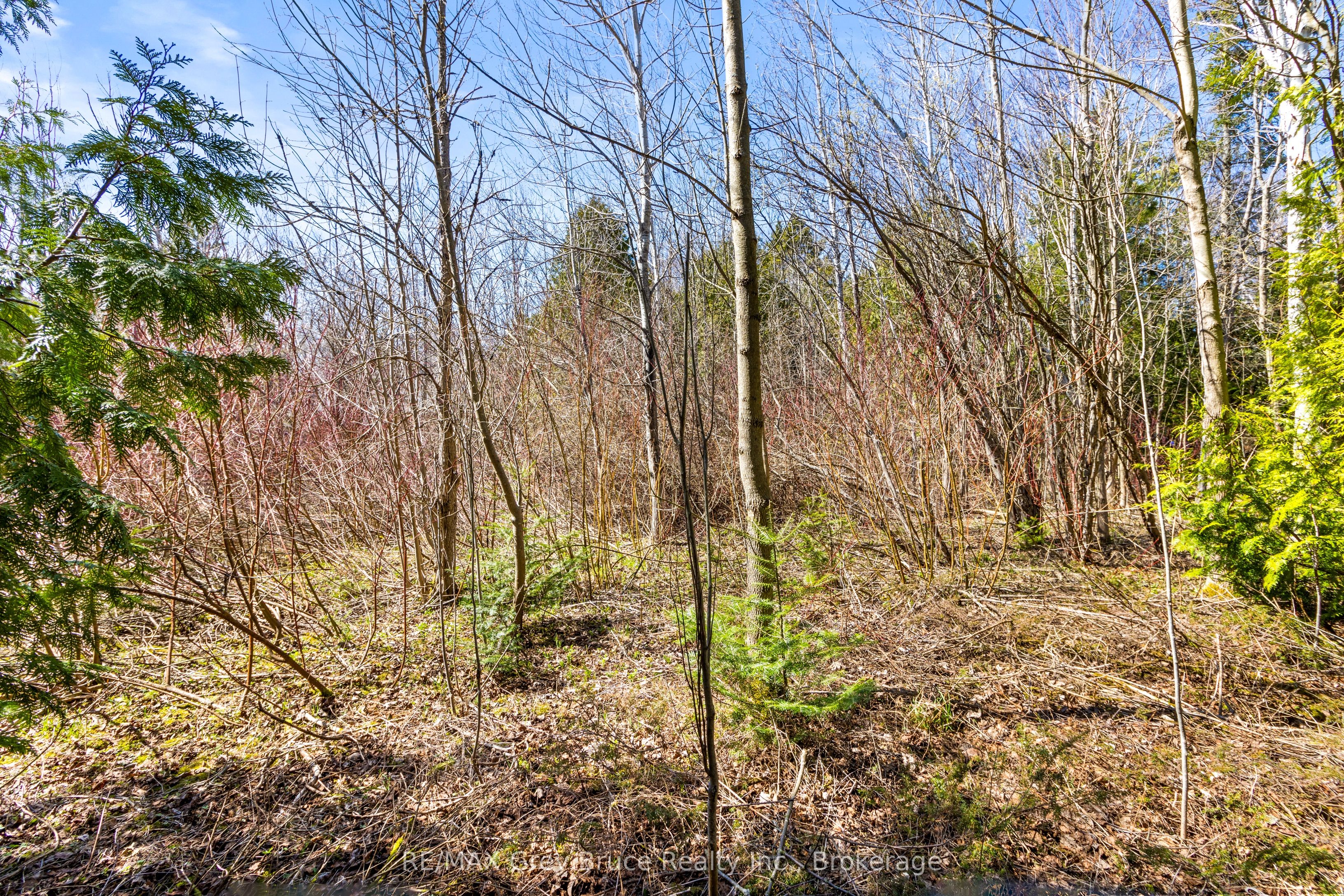 57 Maple Golf Crescent Property Photo 14