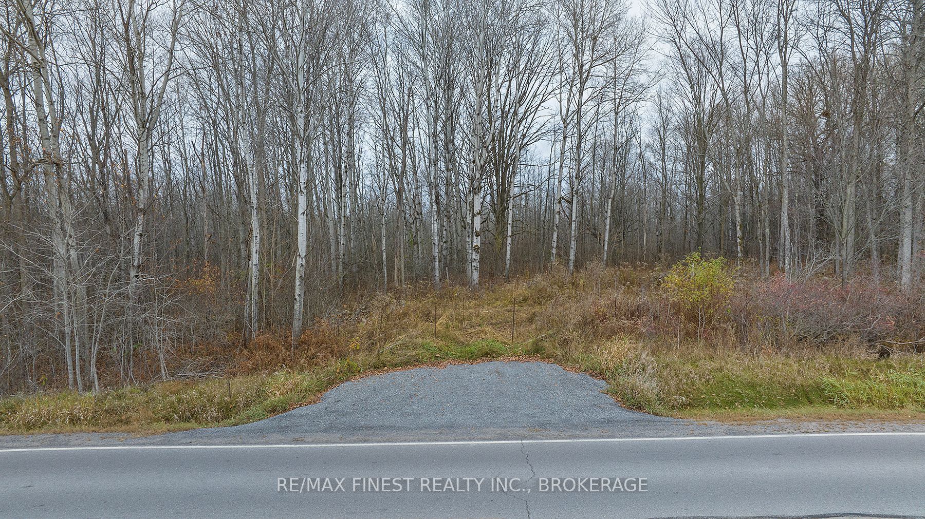 Lot 2 County Road 14 Property Photo 2
