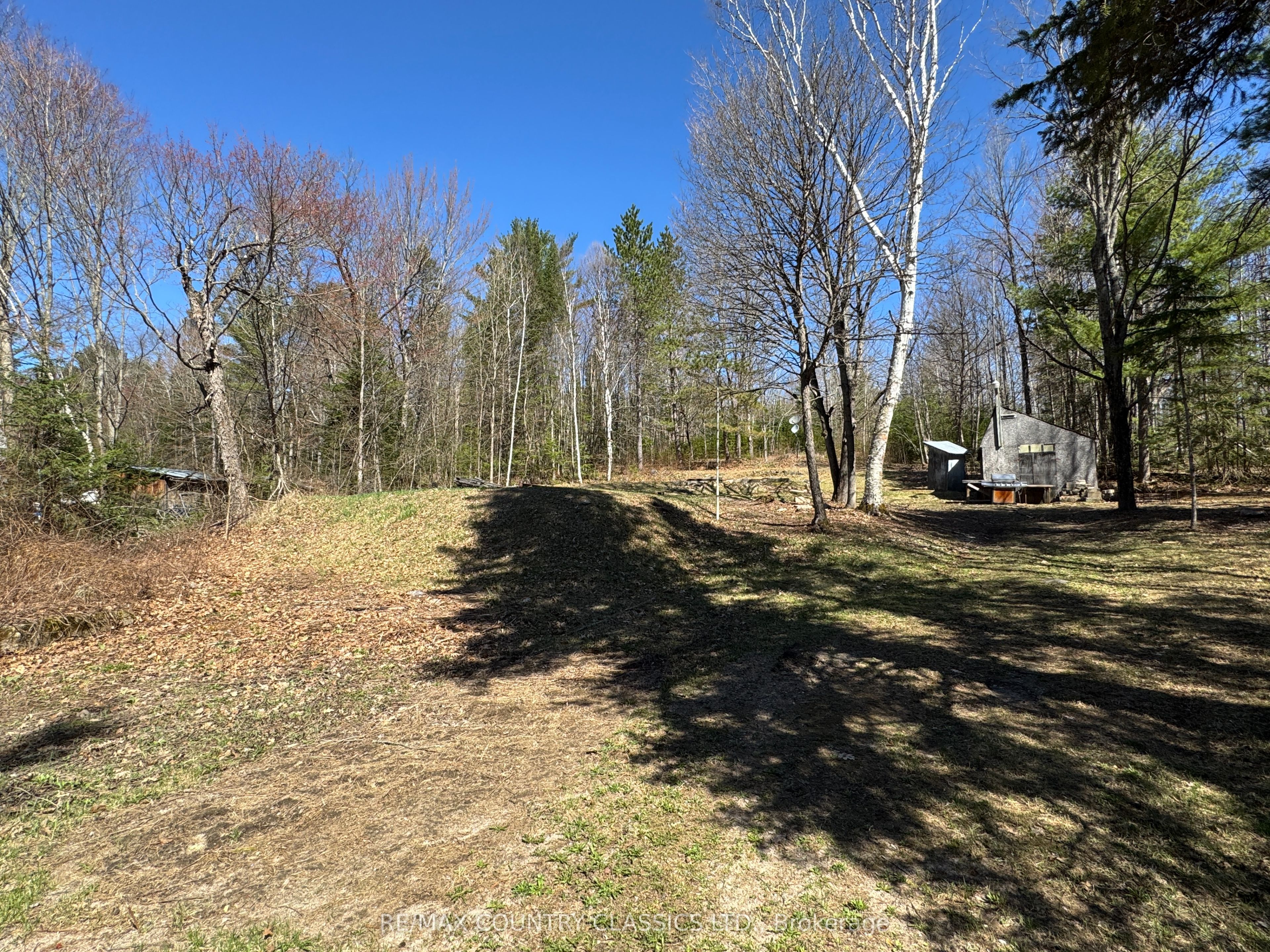 1703 Boulter Road Property Photo 4